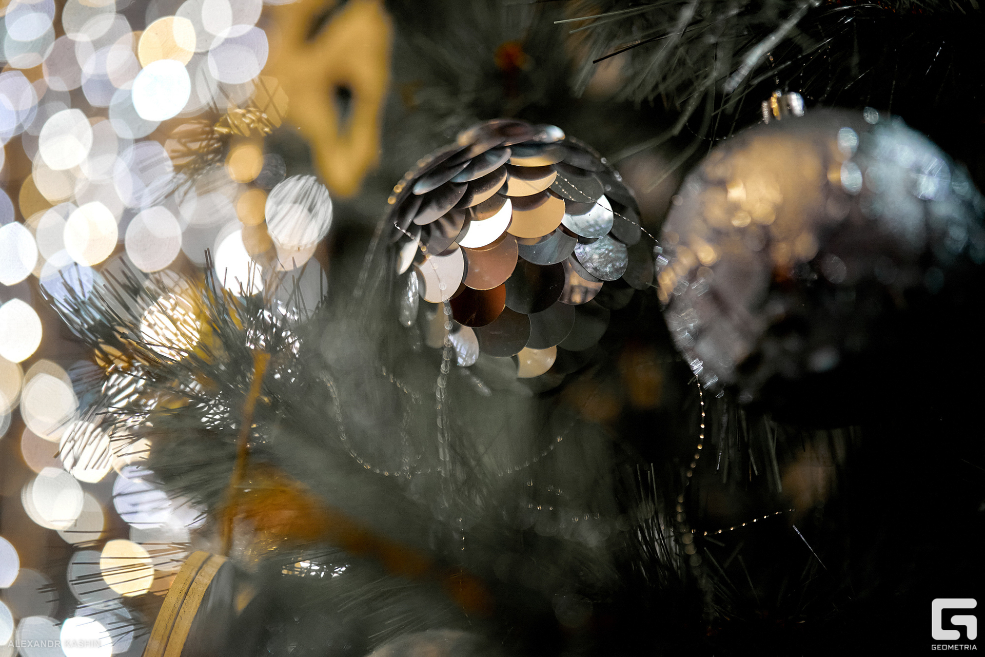 0016 23-12-16 013119 Kashin.jpg