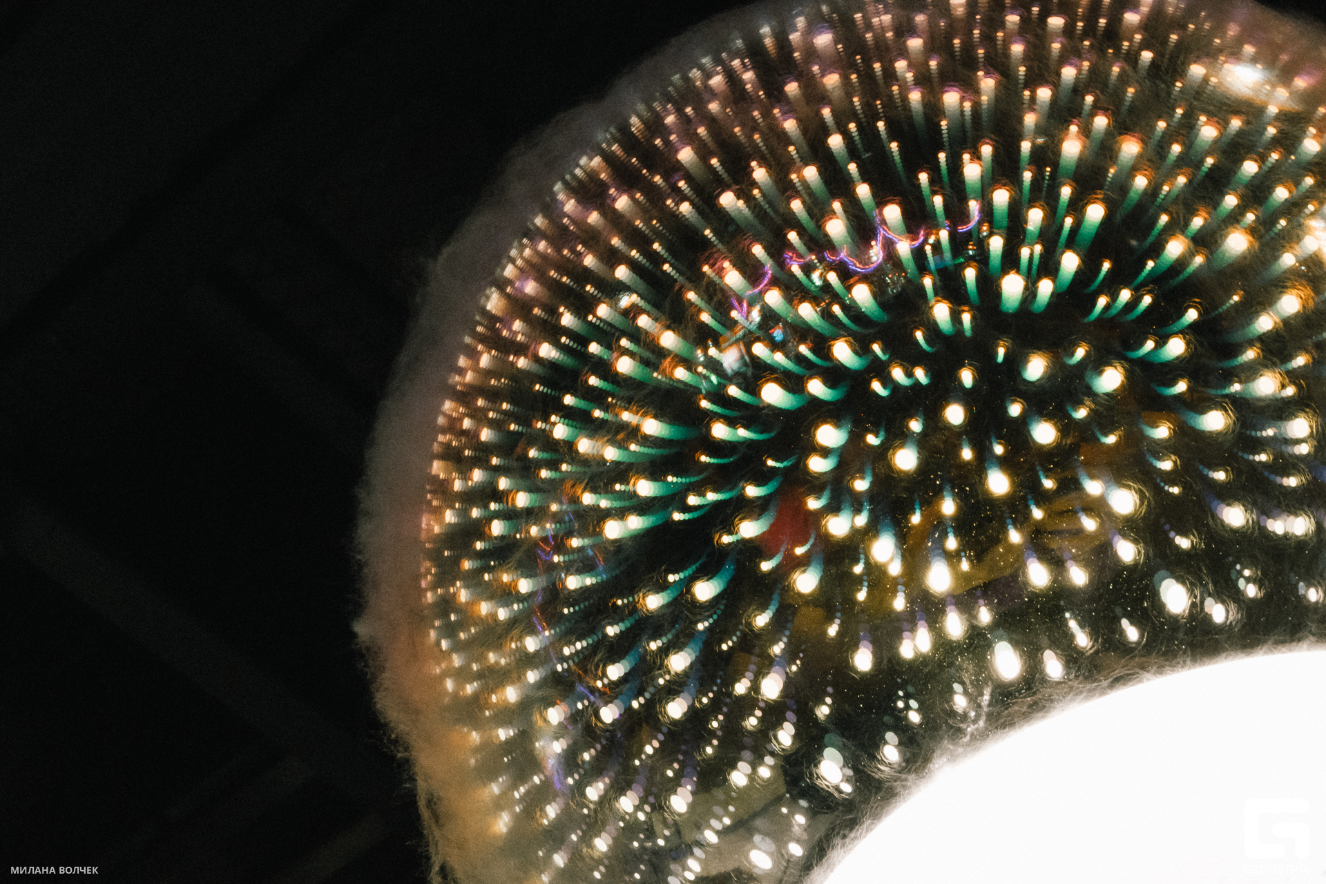 081_20231028 Волчек.jpg