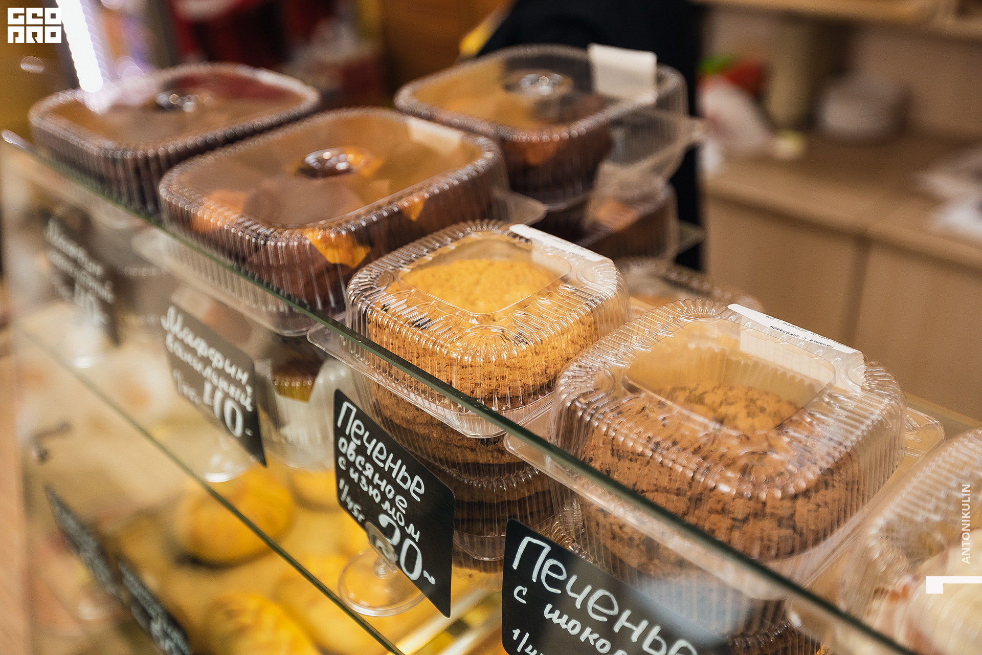 untitled shoot-5462.jpg