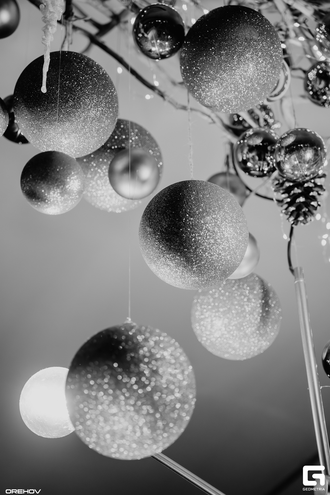 DSC02605-Улучшено-Ум. шума.jpg