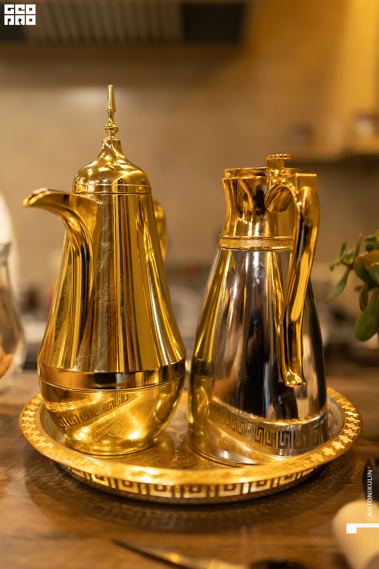 untitled shoot-5890.jpg