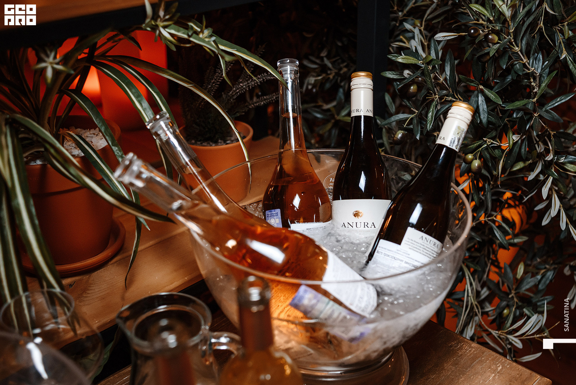 0051_2021-04-28_20-00-48 - Sanatina.jpg