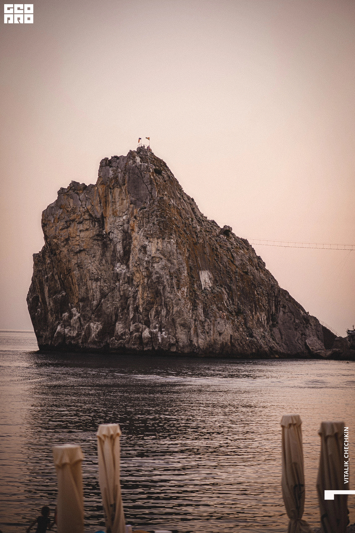 ZAMAHYXA in HUNGRY BIRD SIMEIZ 7