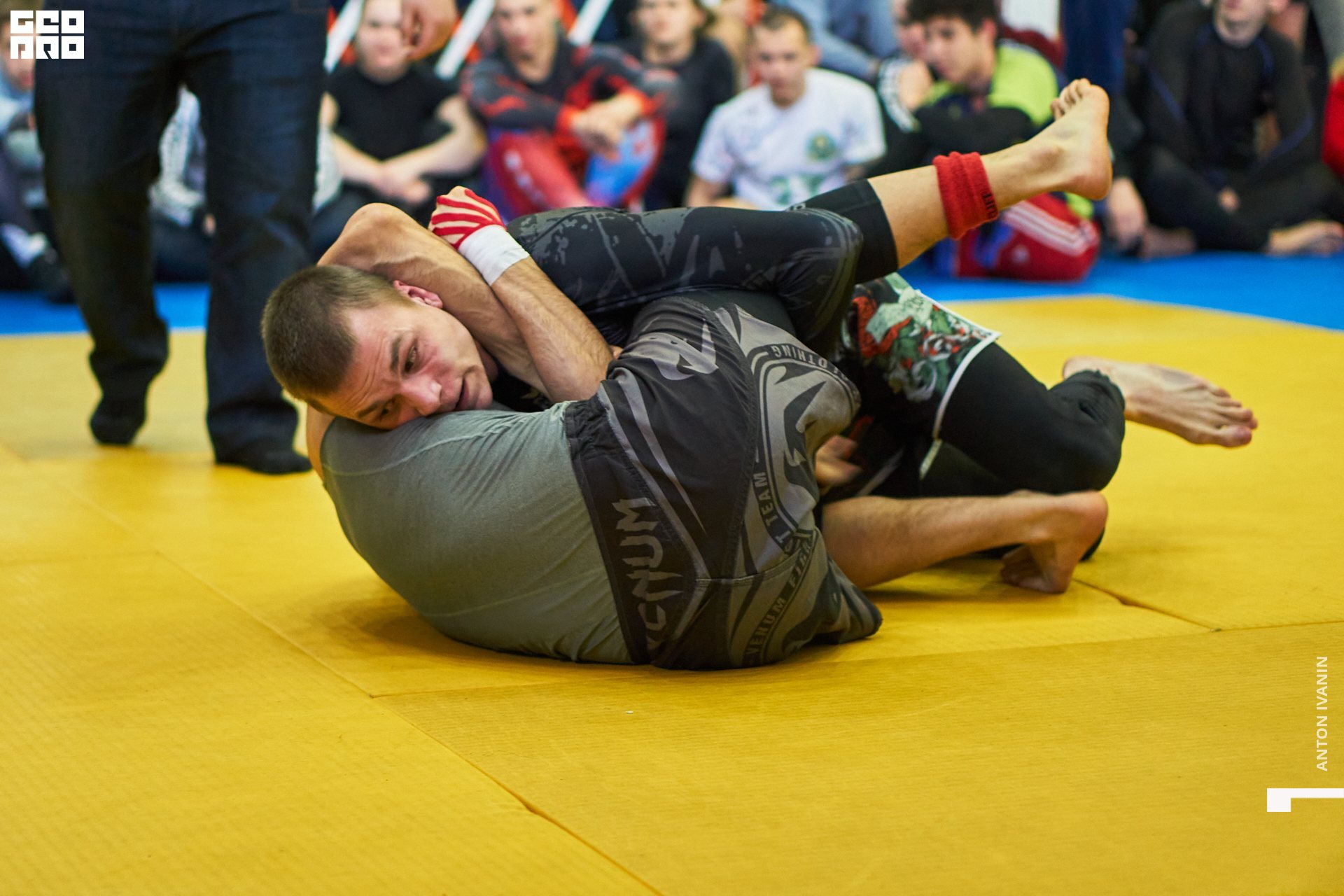 DSC08873 (Копировать).jpg