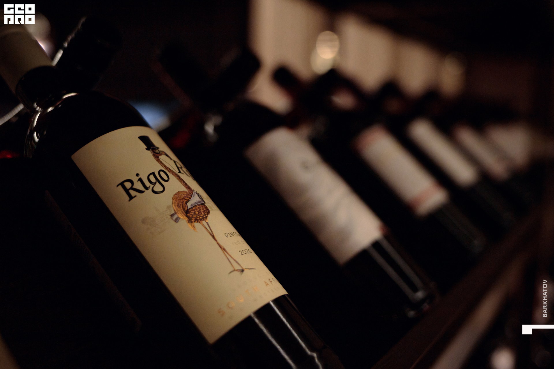 041 27.01.2022 @mibiyl (4775).jpg