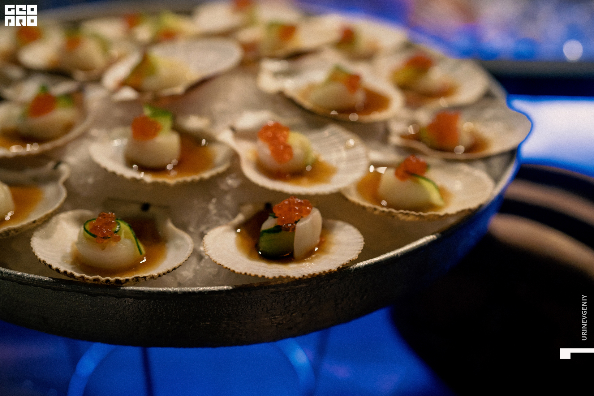 31.10.2021. Kraken (88).jpg