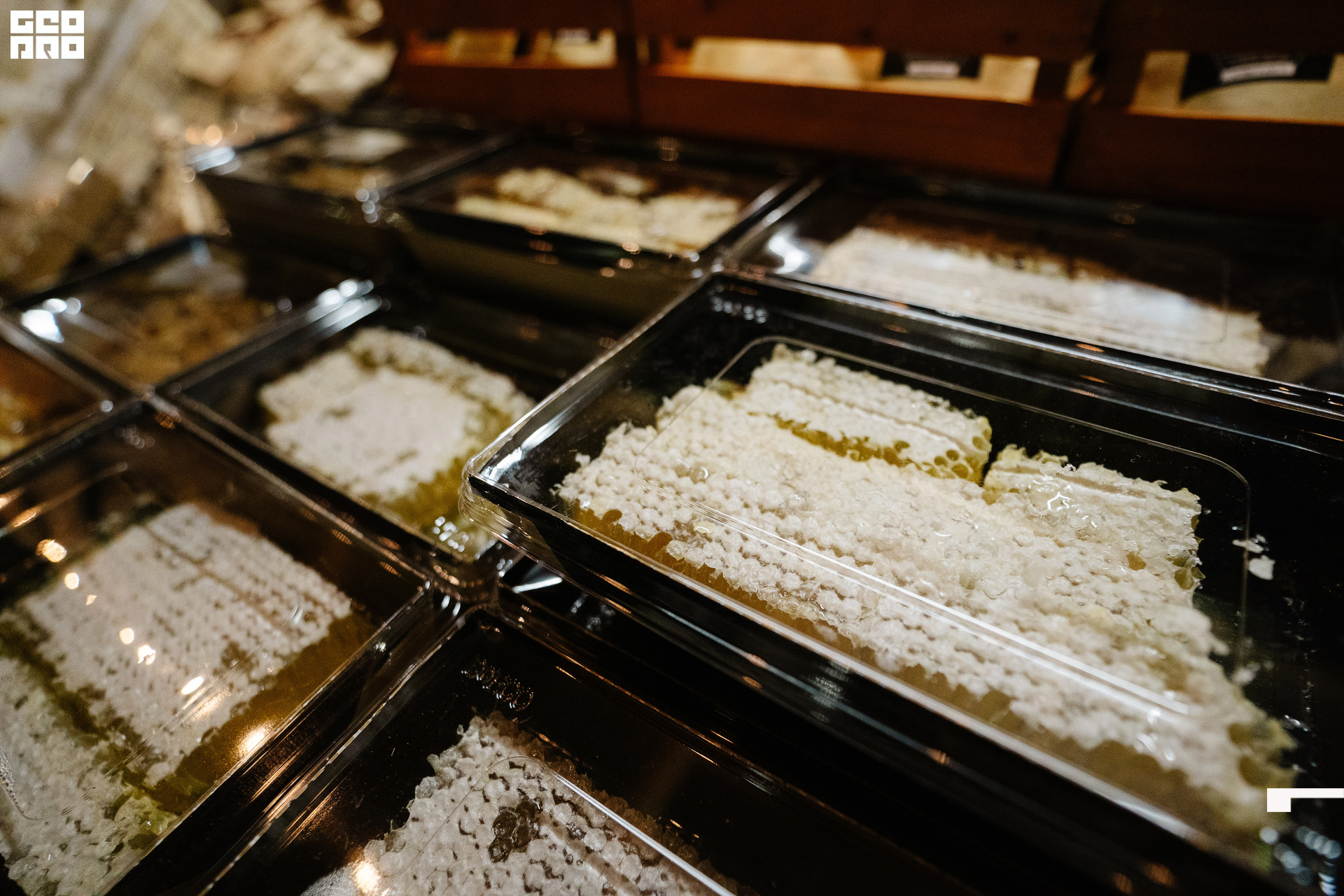  0164 20210828_ALV6874 копия.jpg