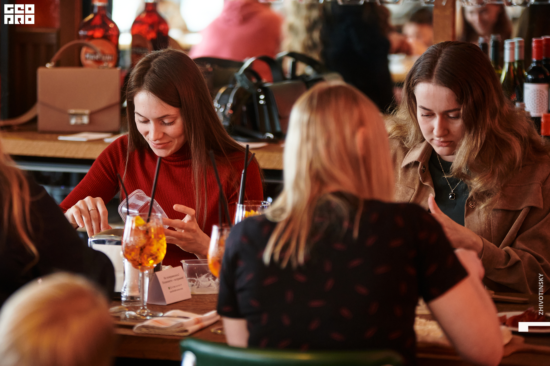 046_19-03-22_4-17 _Zhivotinsky.jpg