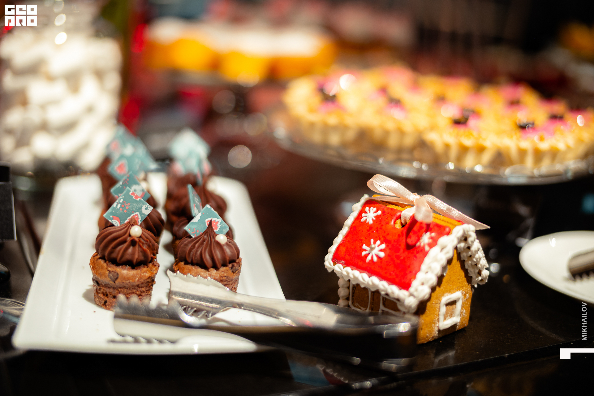 083-20211231-01-Hyatt - Mikhailov - 2560.jpg