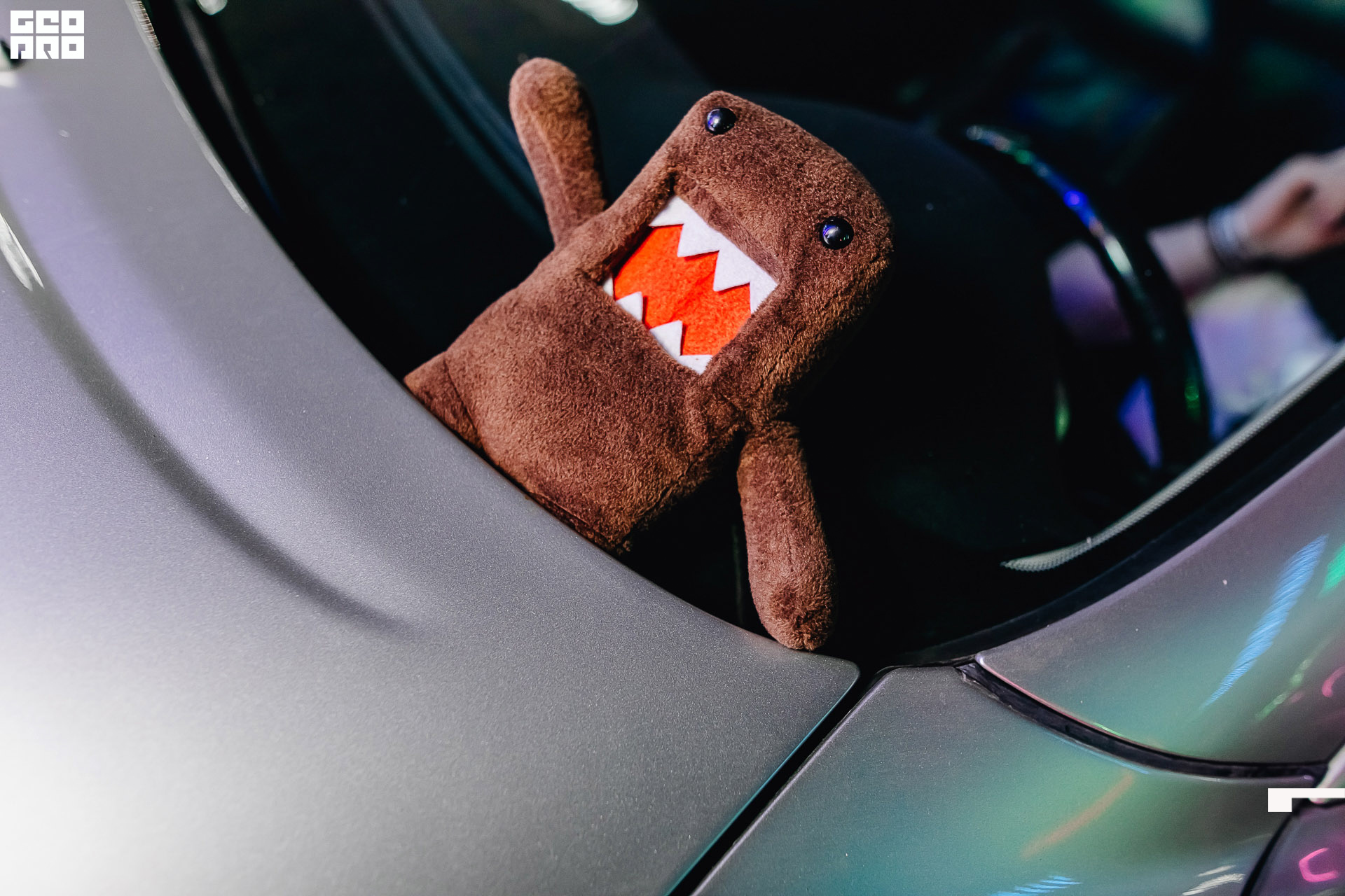 000 (611 из 621).JPG