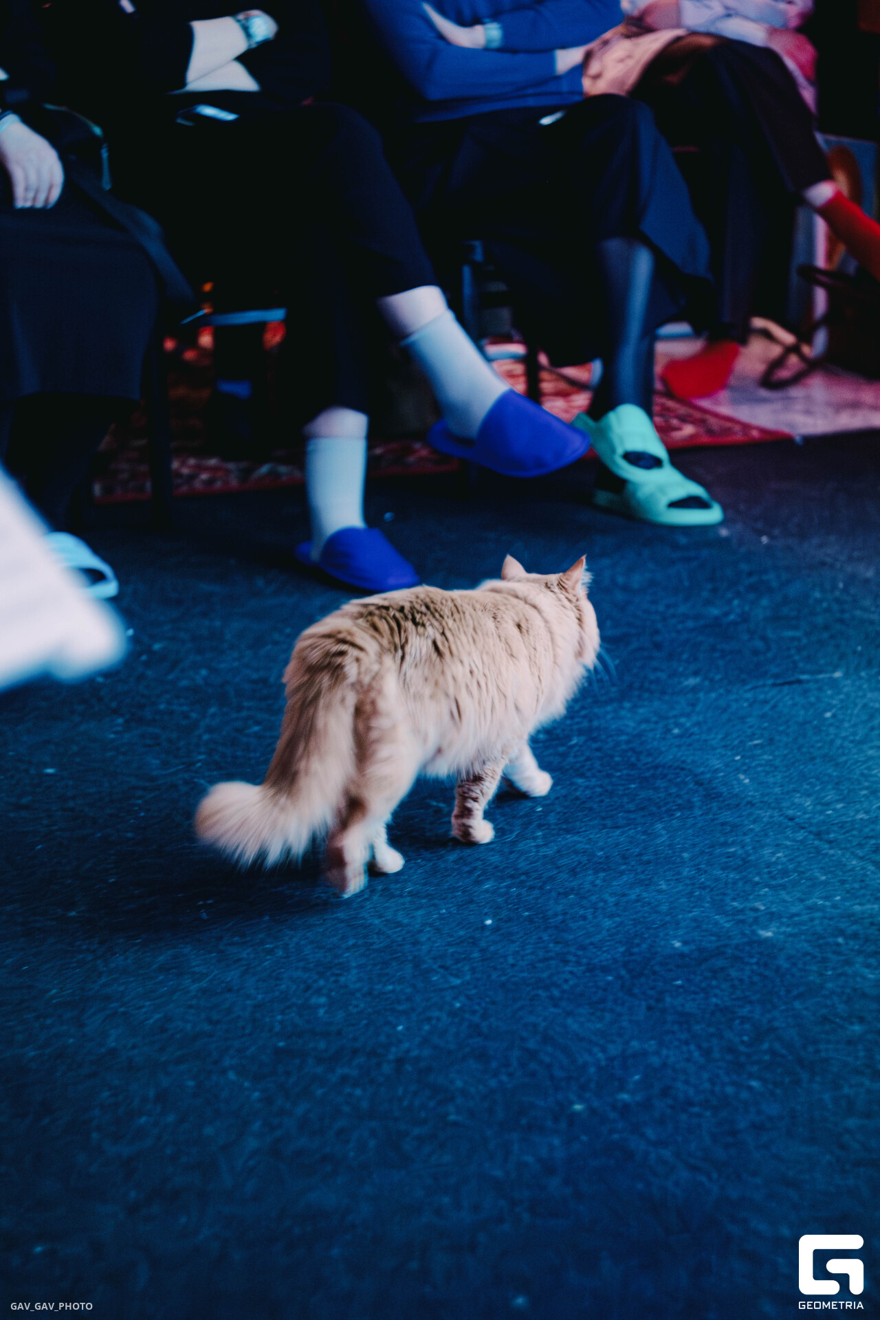 DSCF5935-Улучшено-Ум. шума.jpg