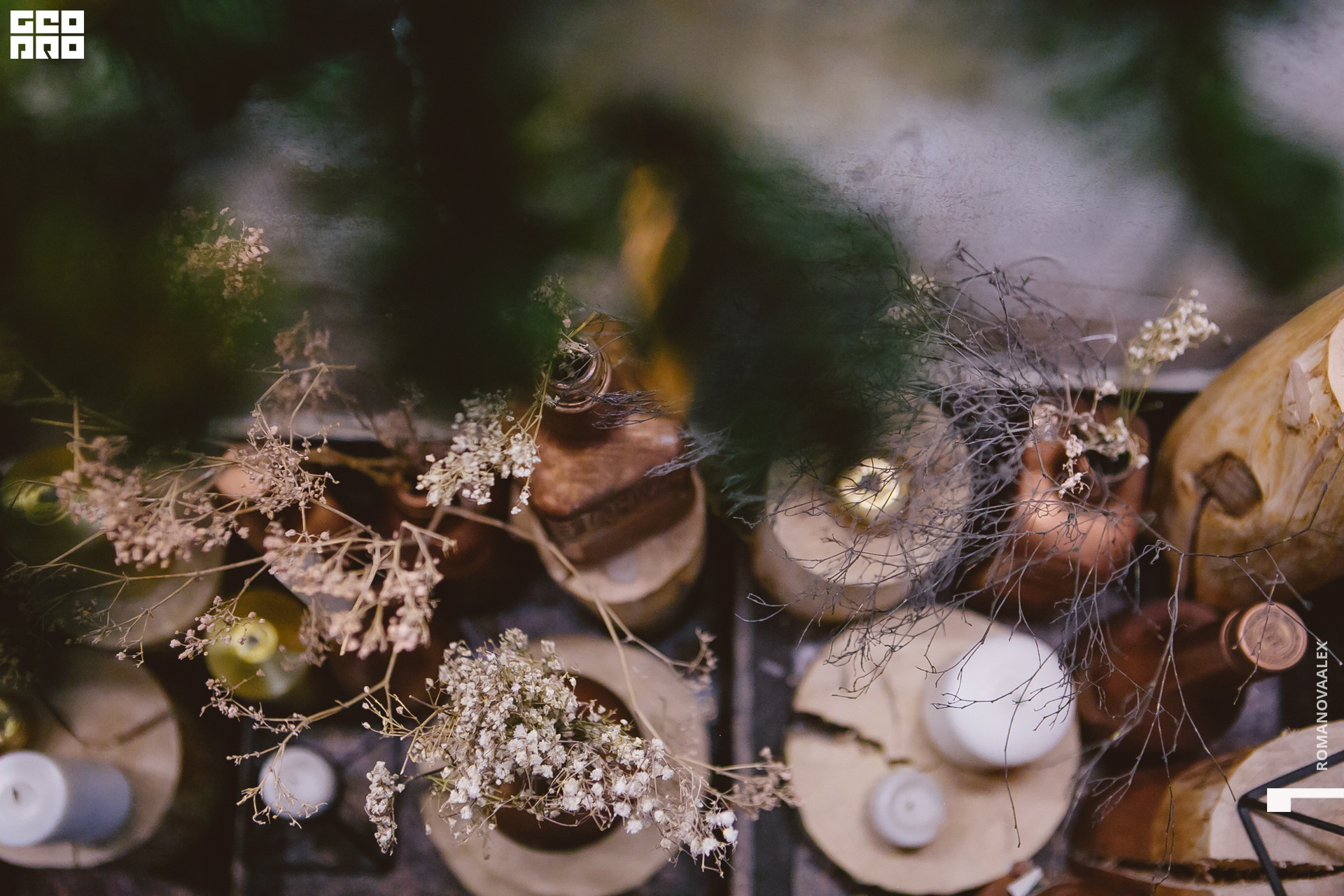 061  ale_romanova.jpg