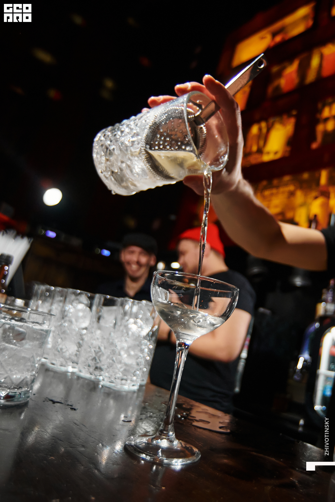 010_06-02-22_10-10 _Zhivotinsky.jpg