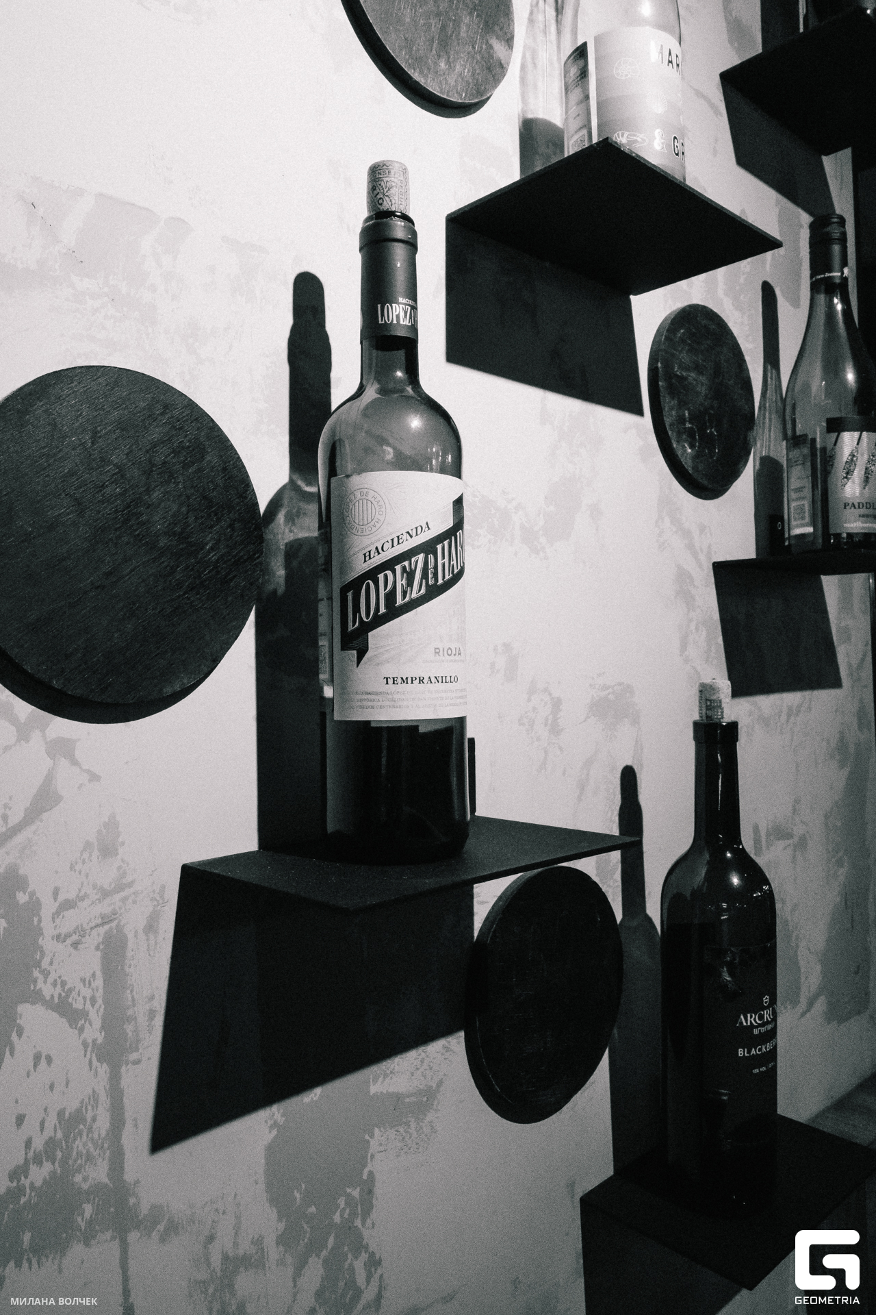 088_20231028 Волчек.jpg