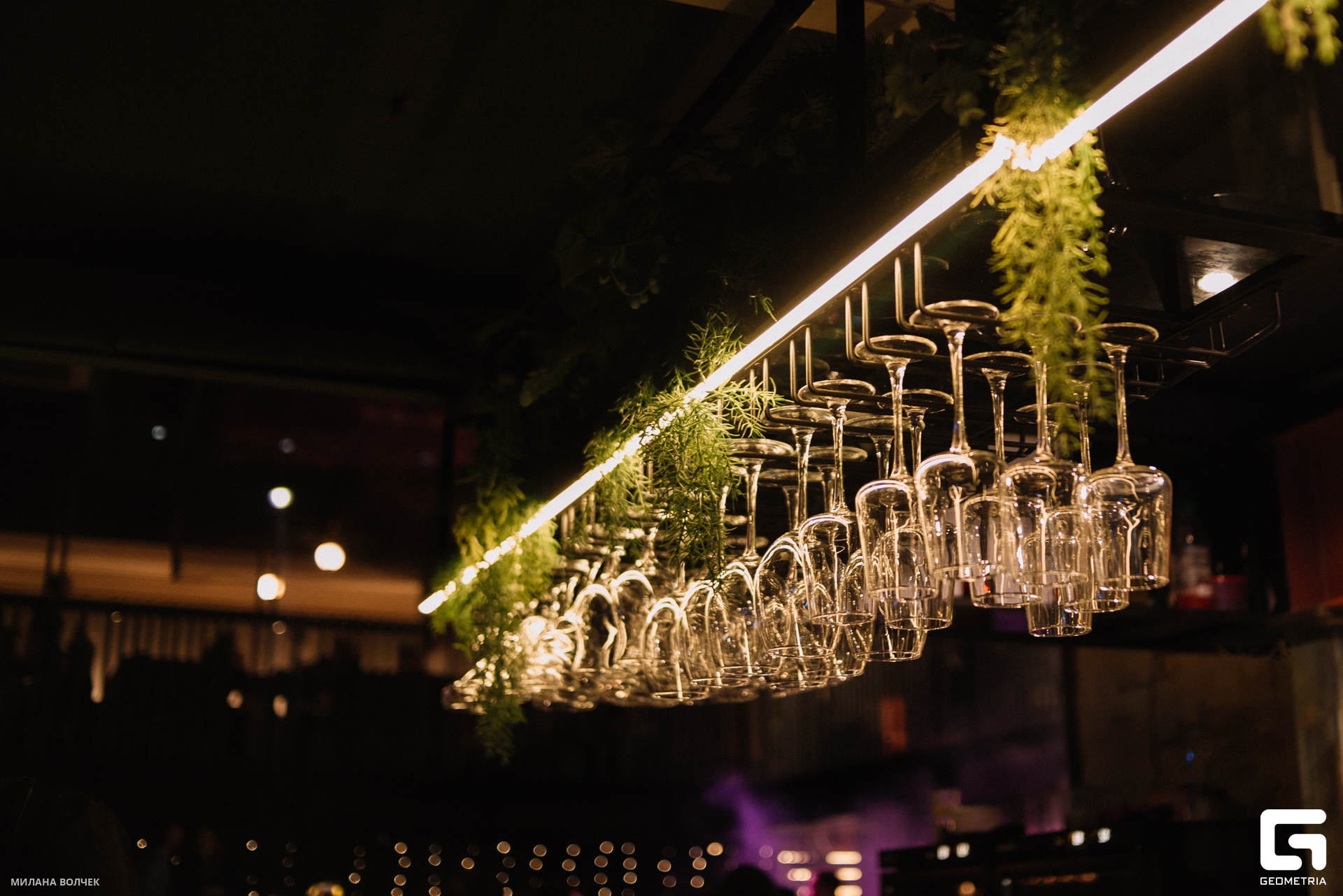 045_20230826 Волчек.jpg