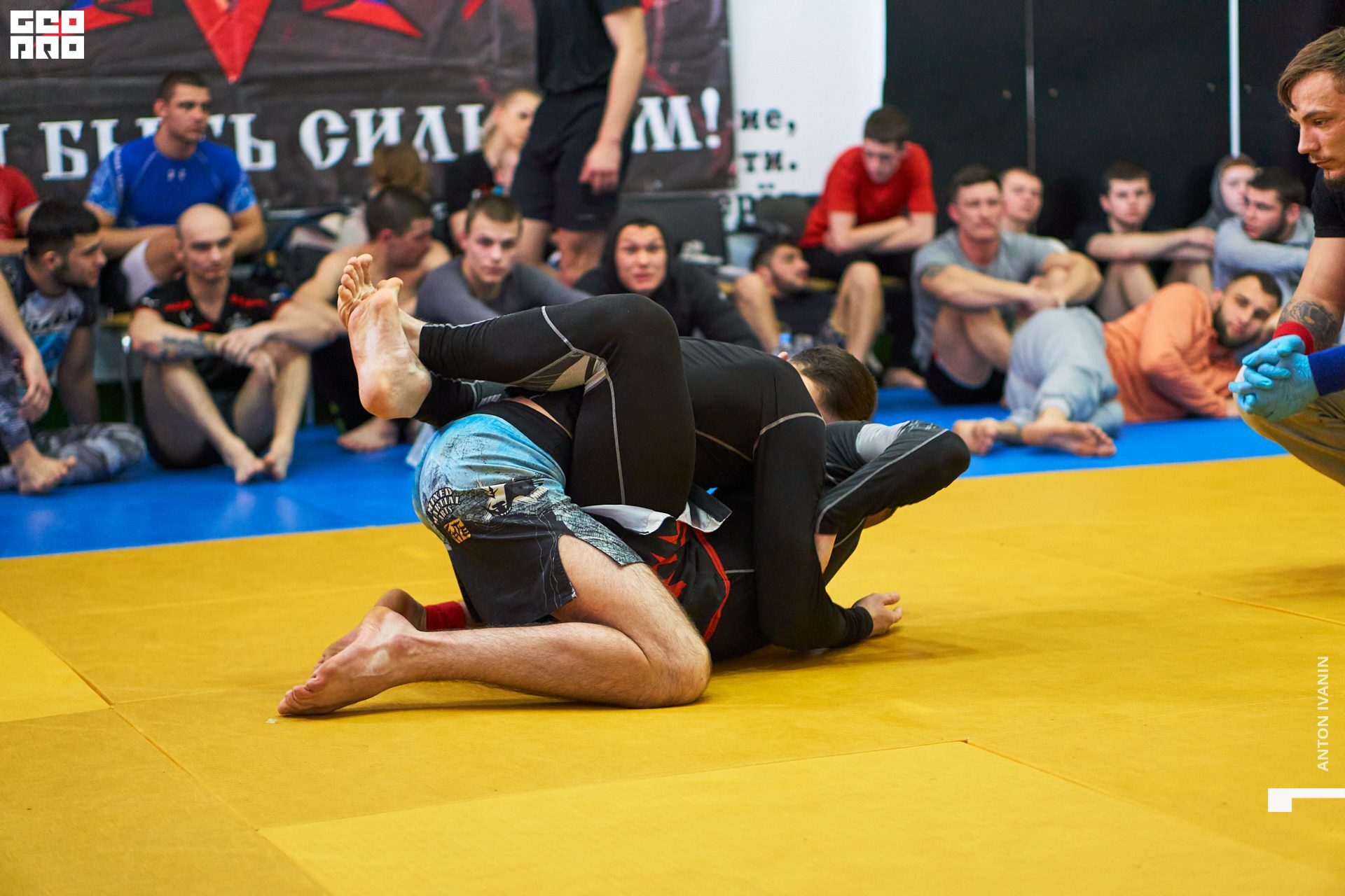 DSC08591 (Копировать).jpg