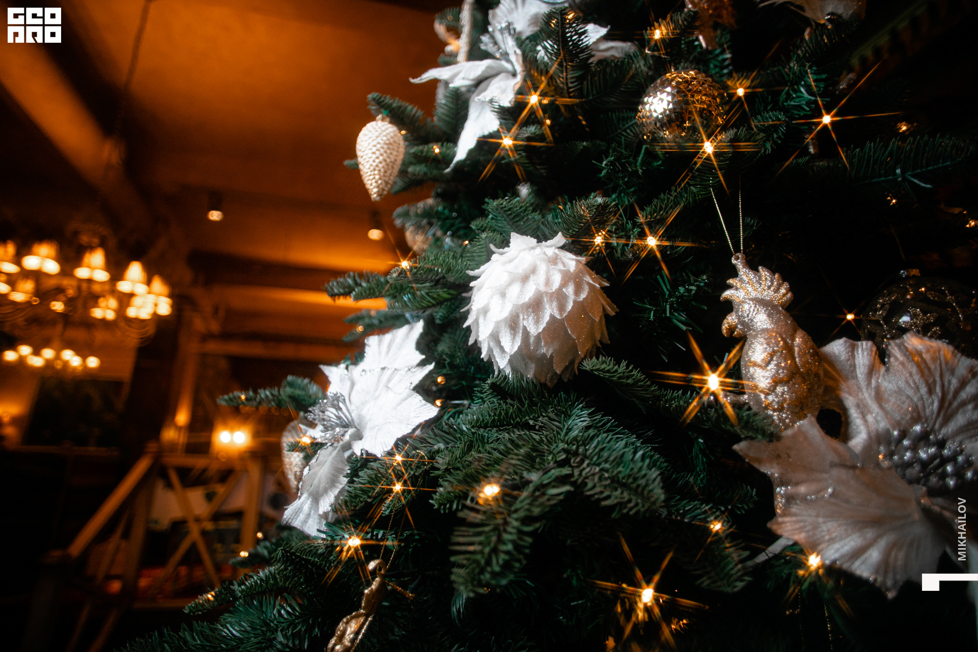 022-18-12-2020-17-15-18.12.20 -  ХС - Михайлов - 1920.jpg