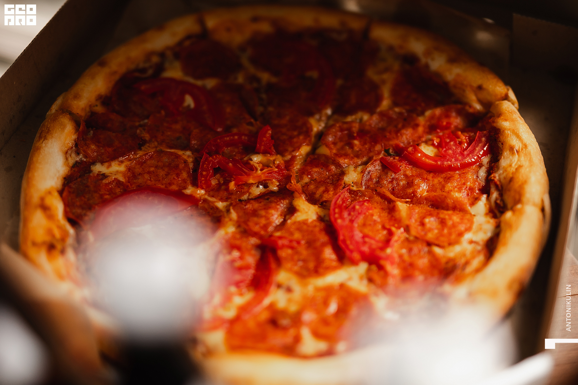 untitled shoot-3389.jpg