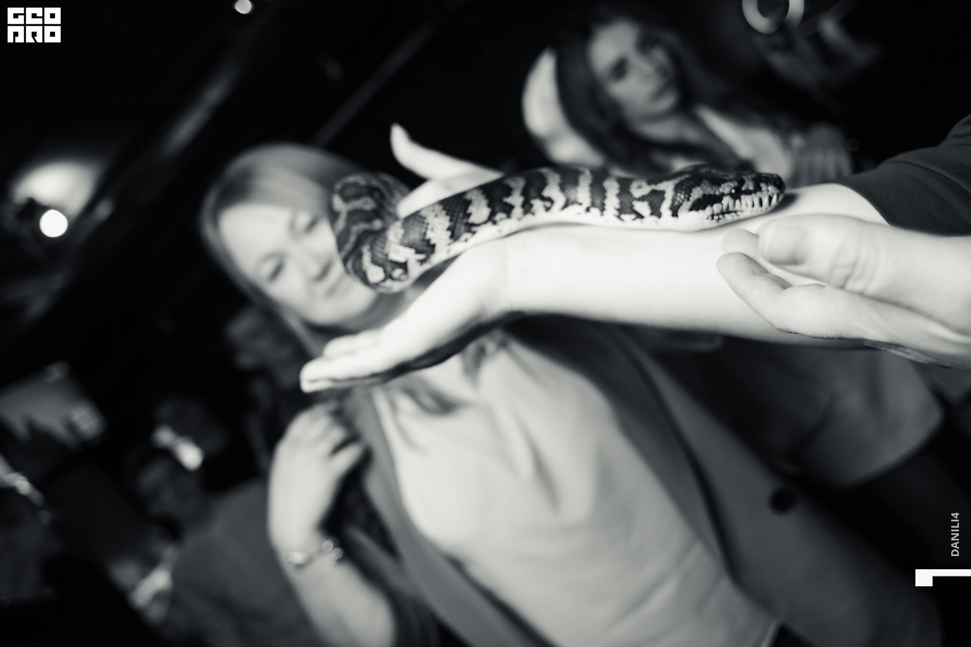 Тортуга хеллоуин 29.10.22-85.jpg