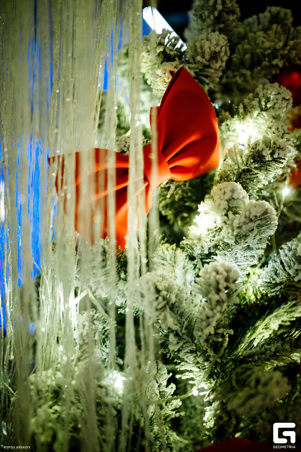 IMG_7549-Улучшено-Ум. шума.jpg