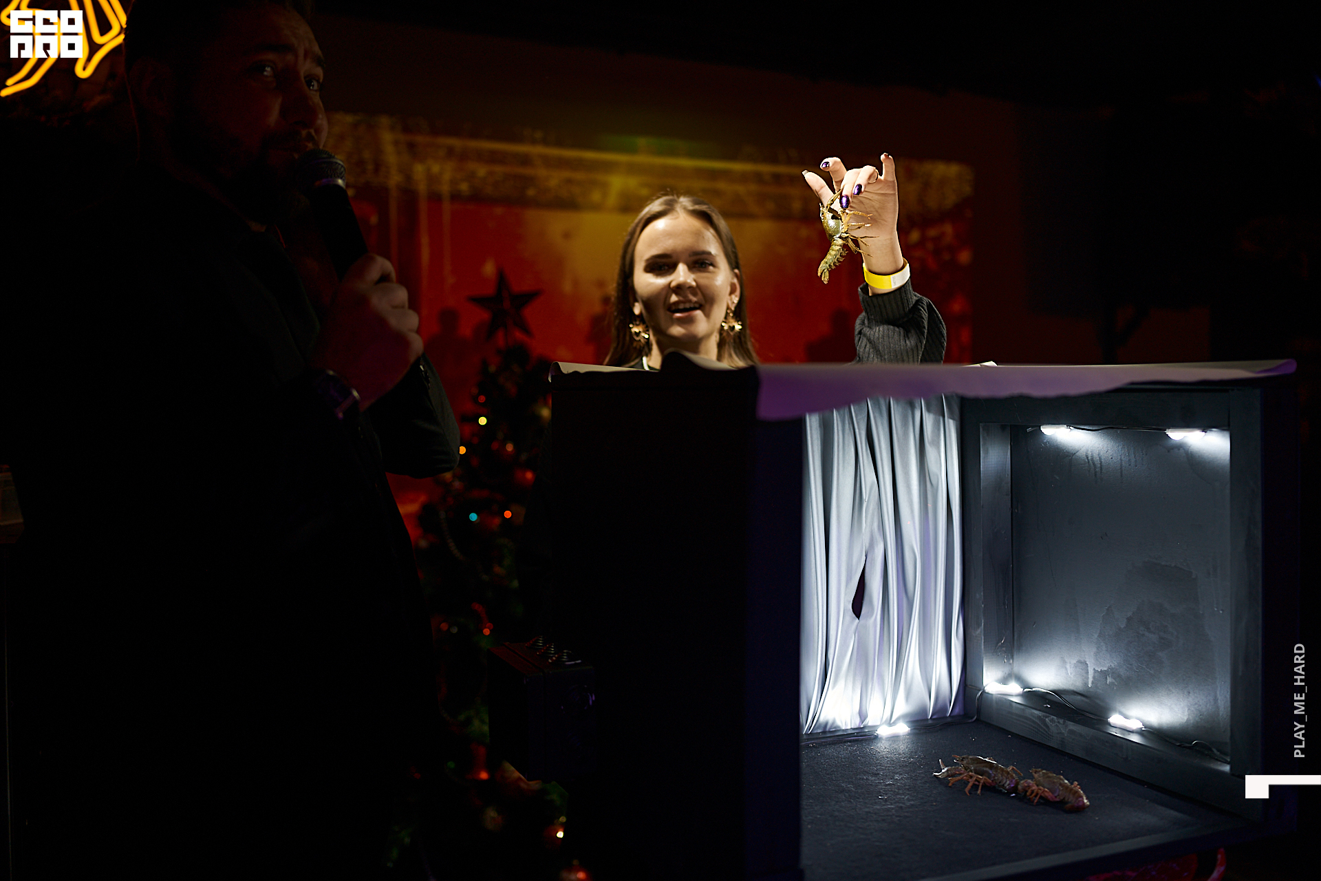 гвозди 002.jpg