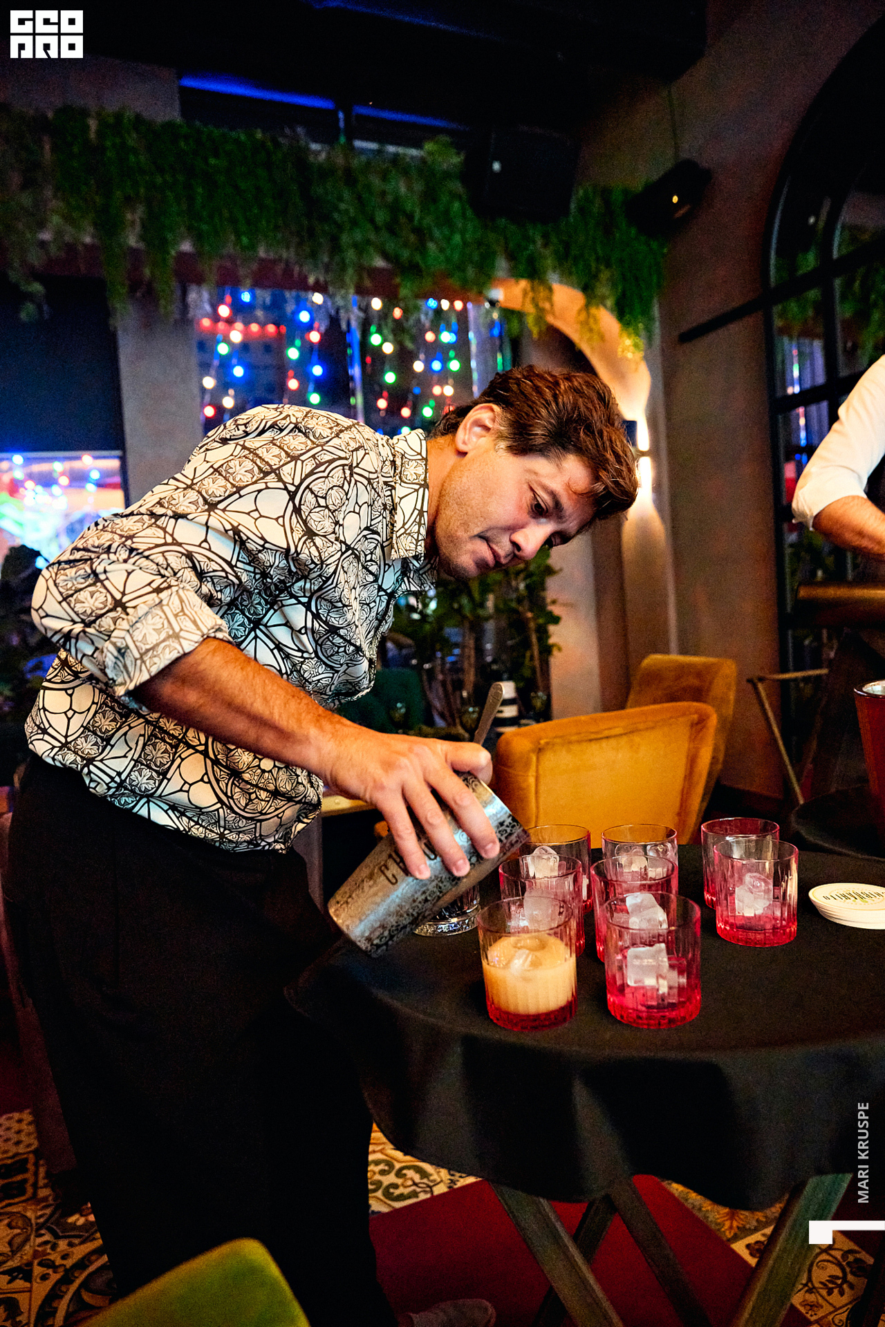 _ARI1407 копия.jpg