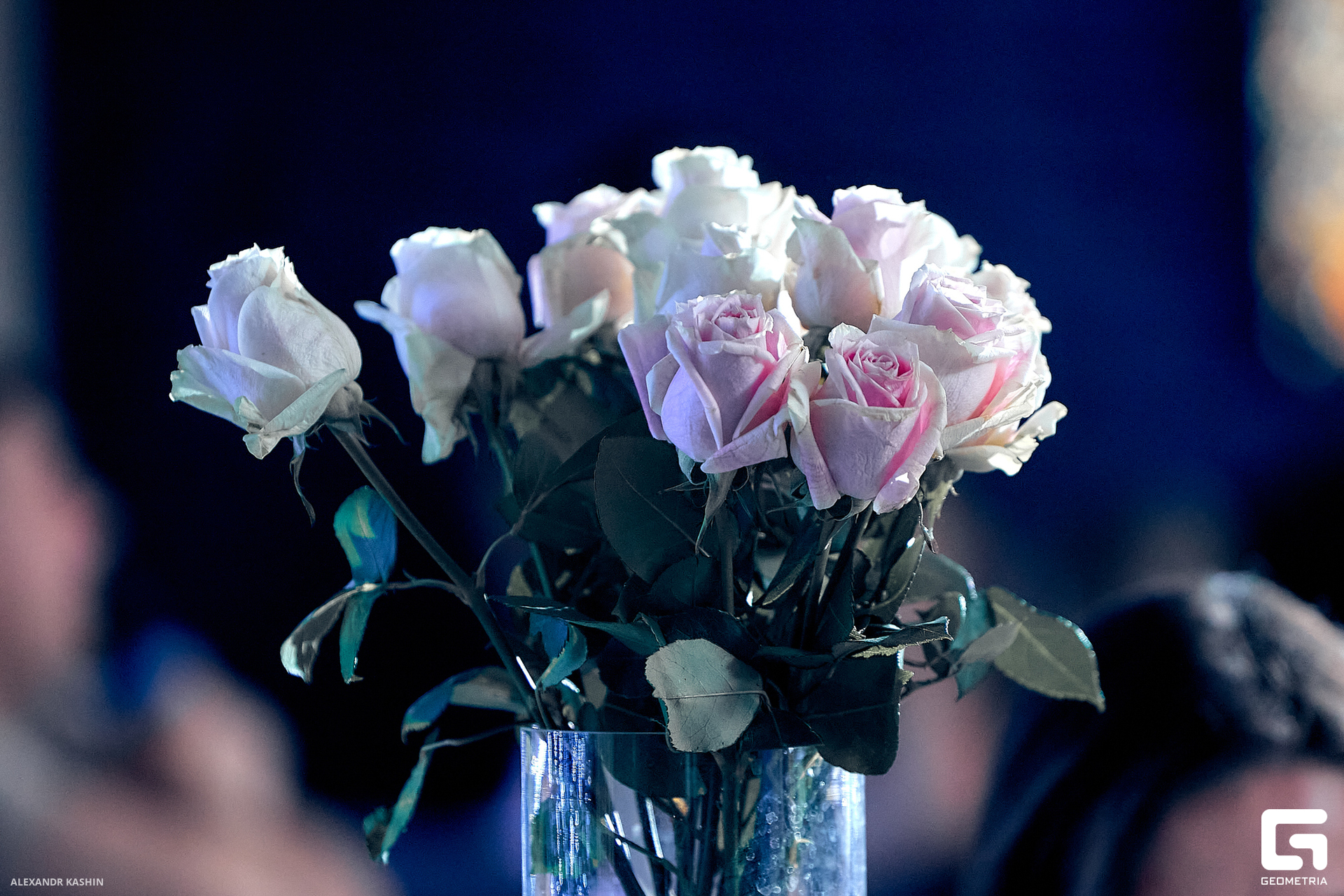 0035 24-05-18 023939 Kashin.jpg