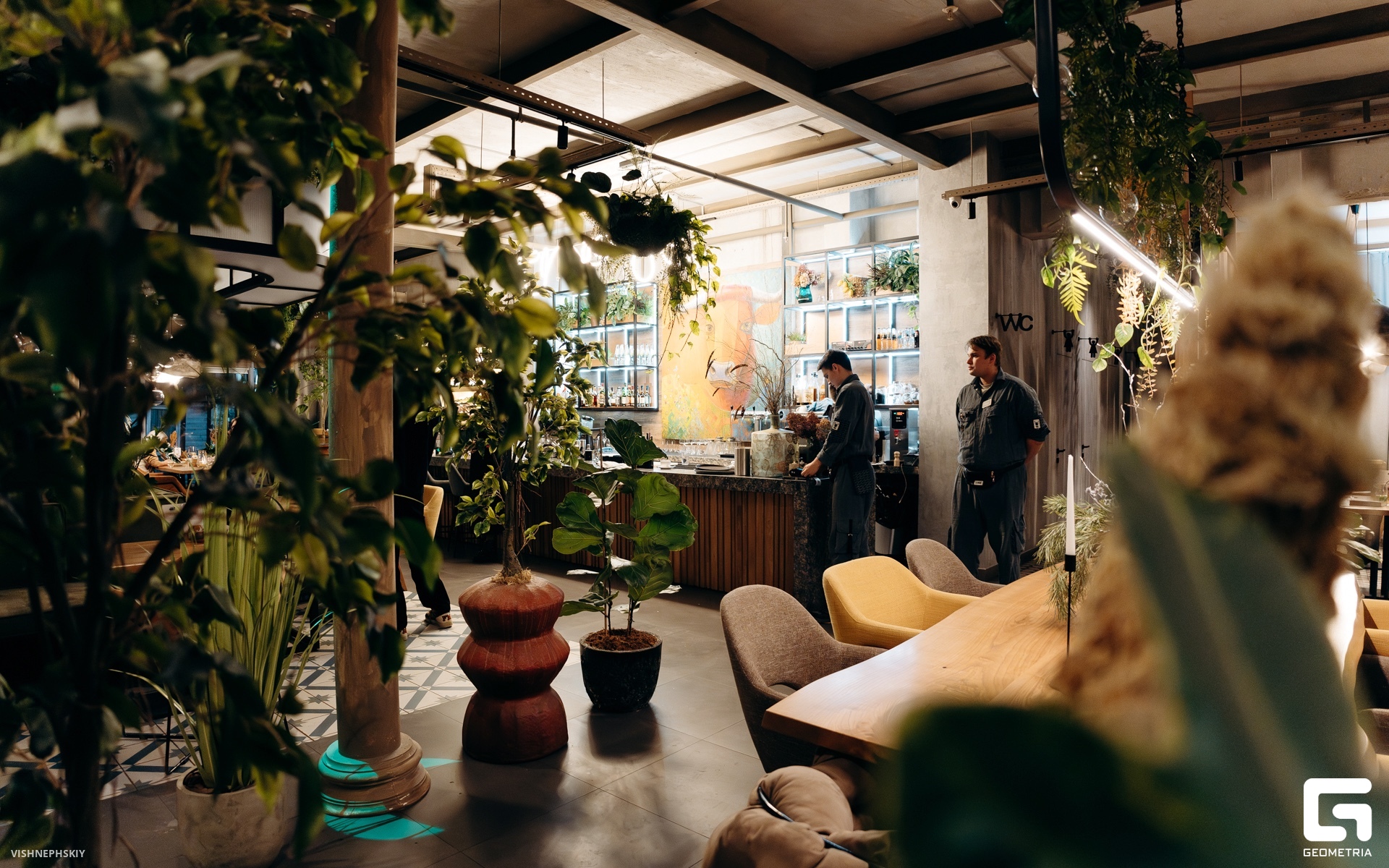 DSC08029-Улучшено-Ум. шума.jpg