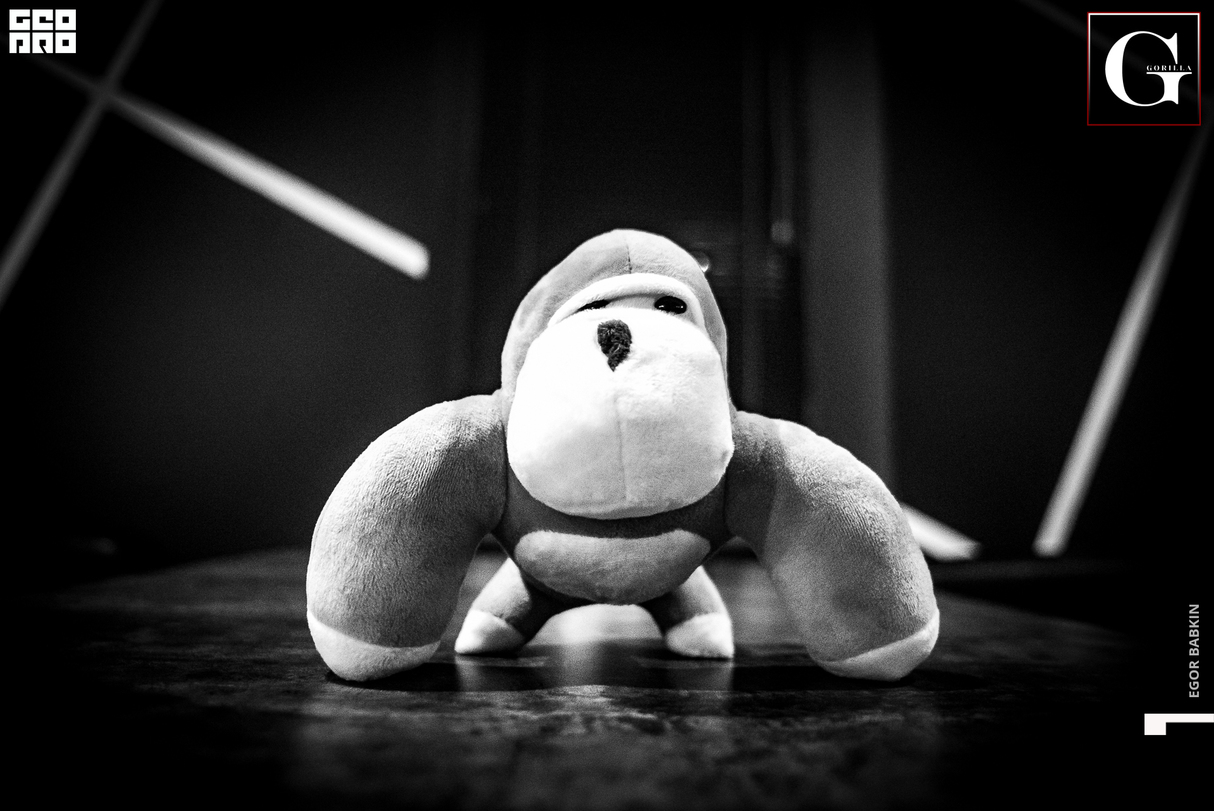 Открытие "Gorilla lounge bar" 17