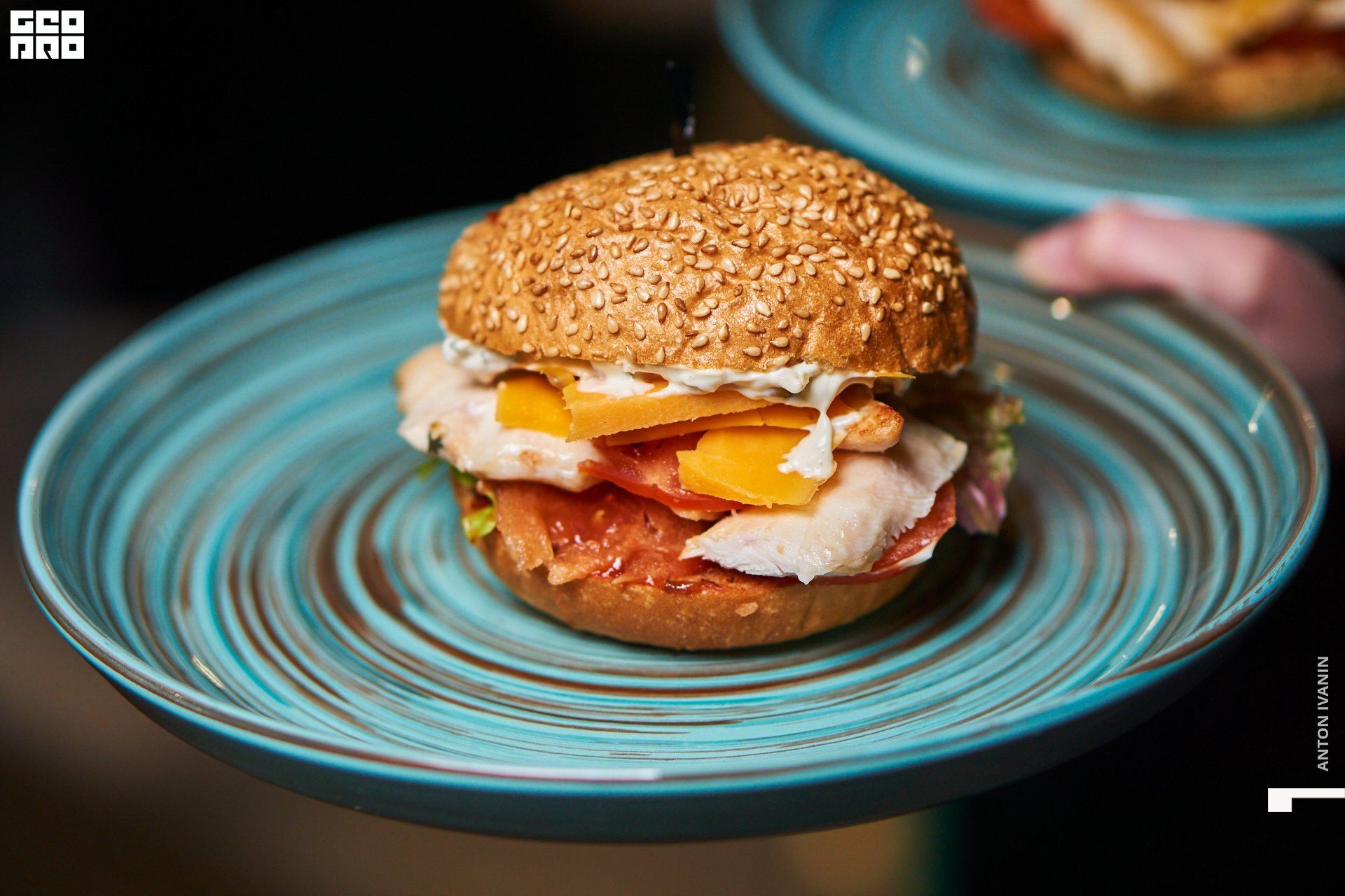 DSC04394 (Копировать).jpg