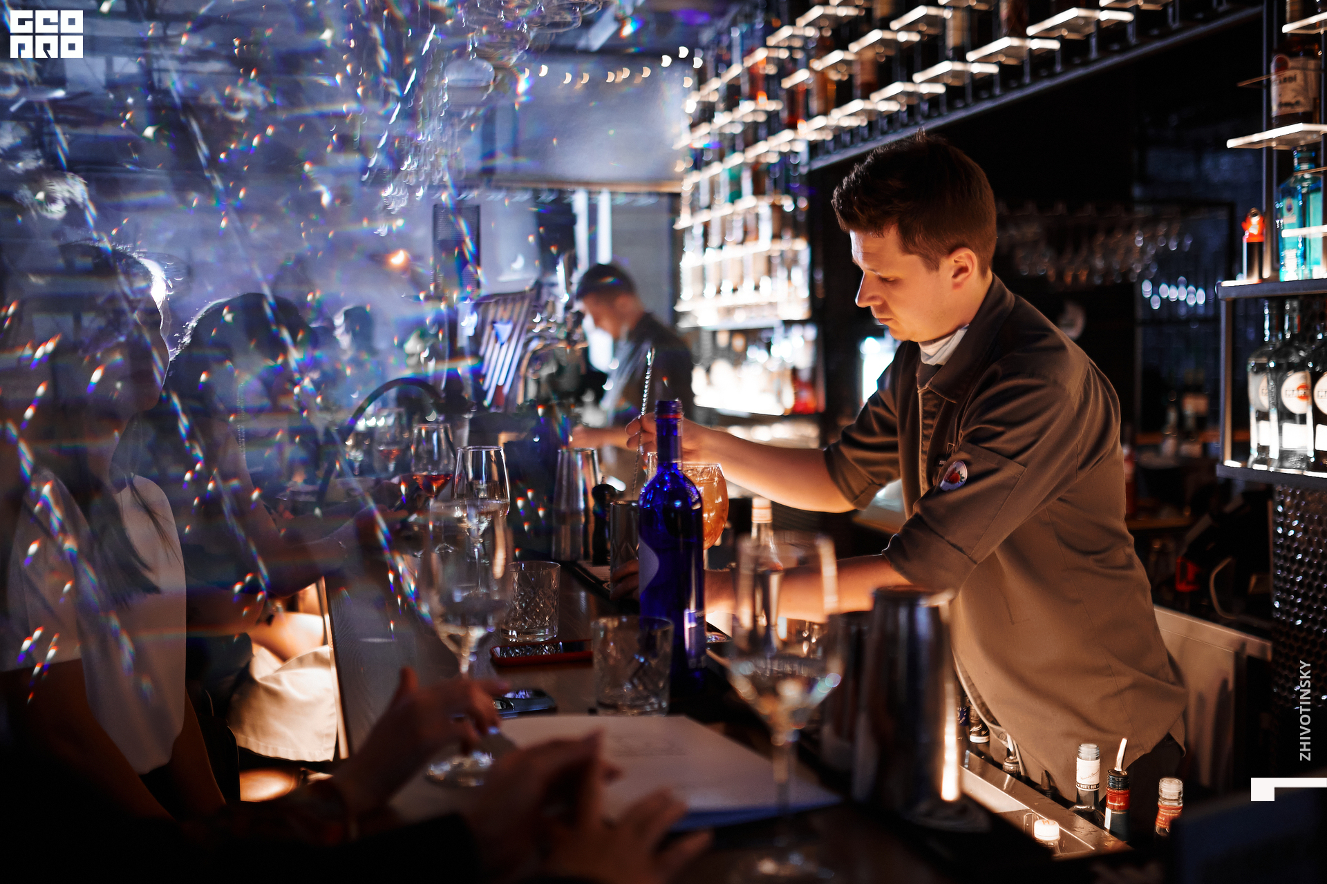 094_24-12-21_10-55 _Zhivotinsky.jpg