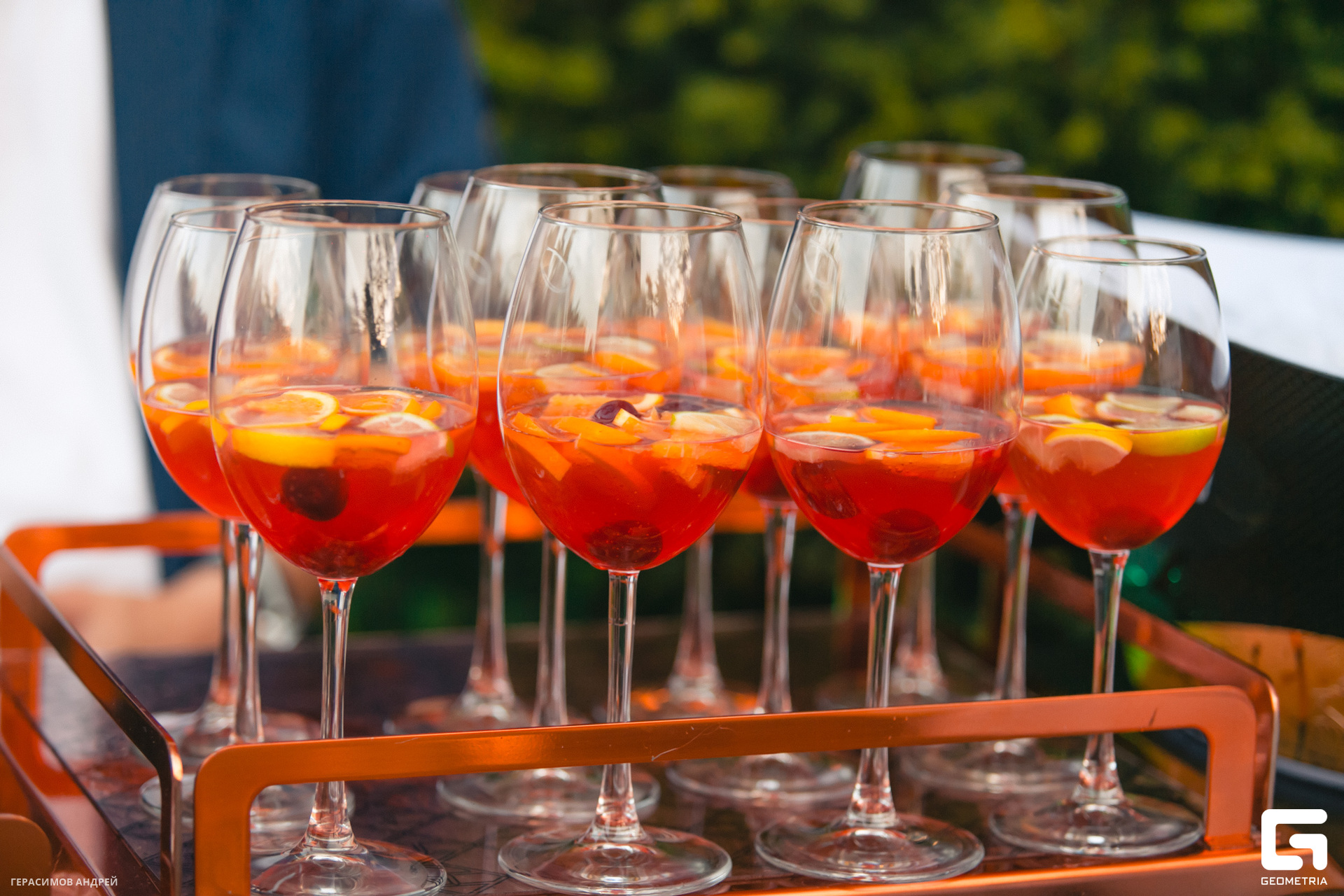 024 Фетучинни 15.08.jpg