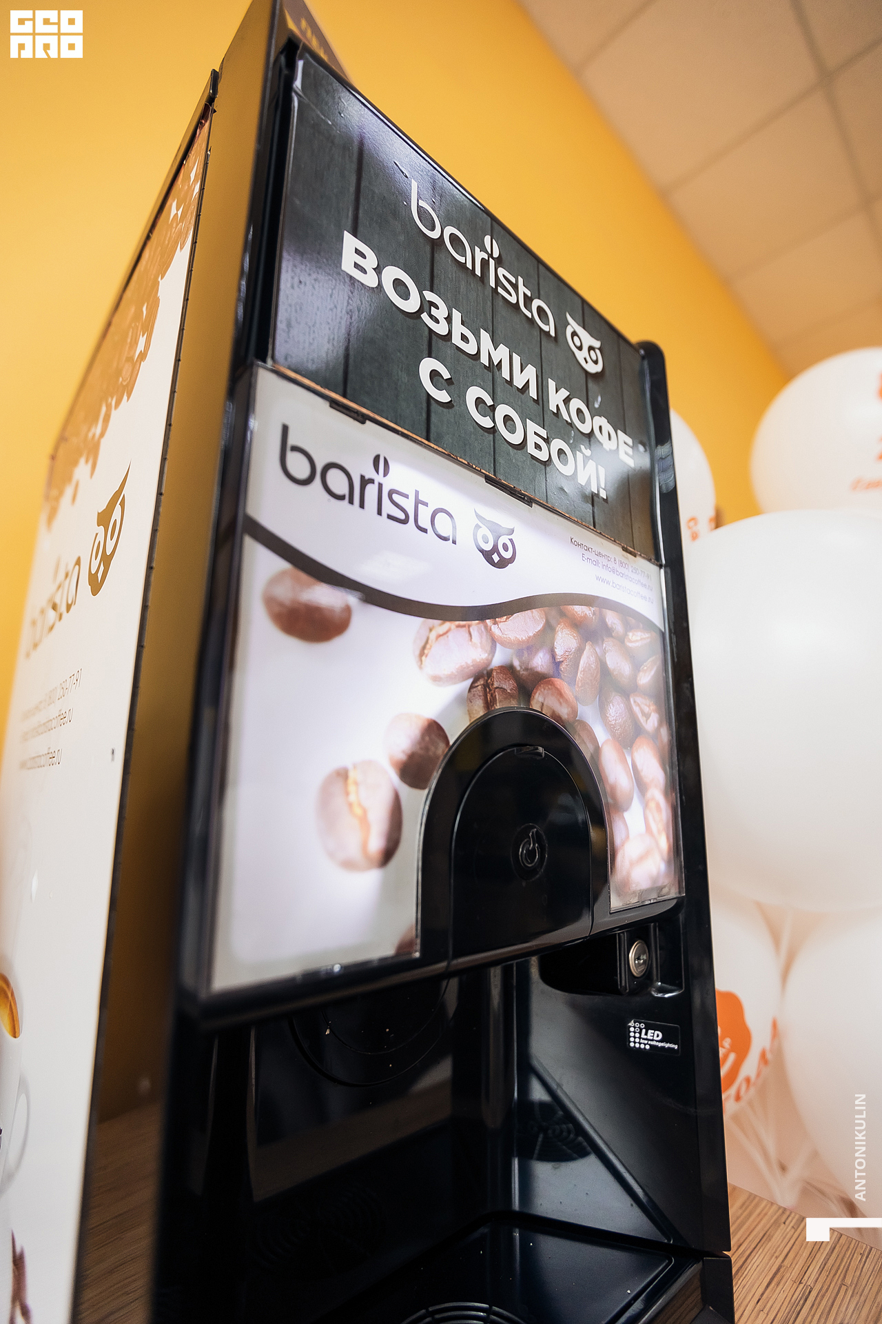 untitled shoot-5500.jpg