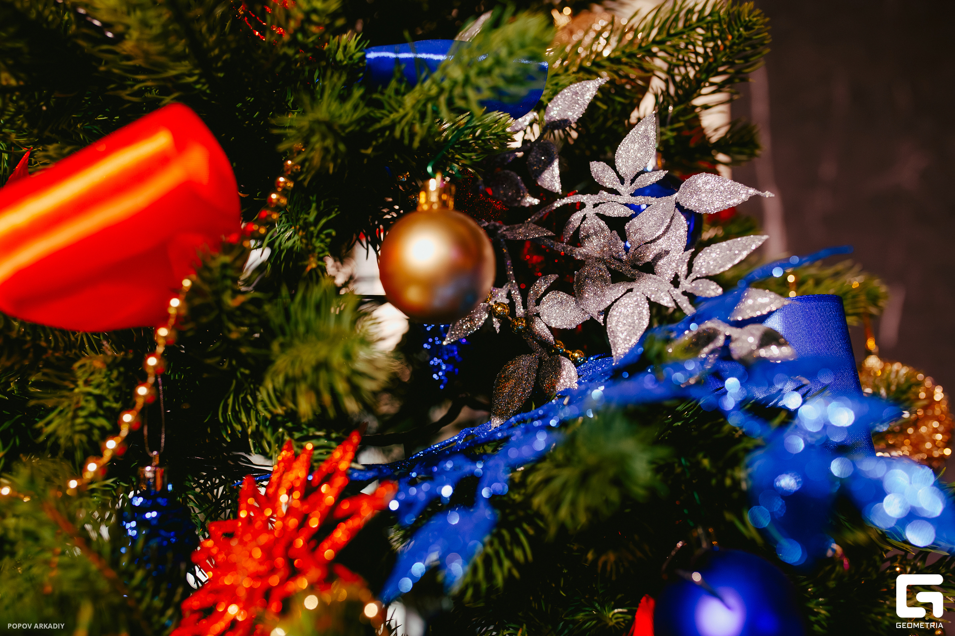 Top (47 из 68).jpg