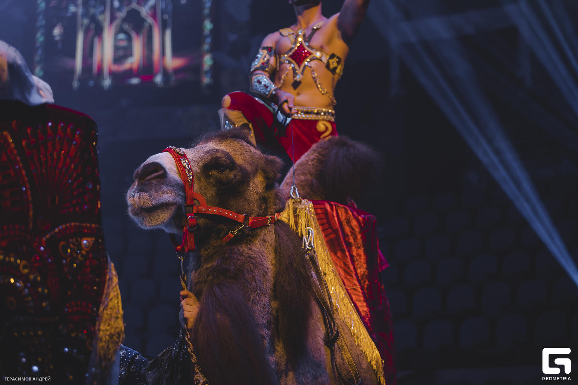 040 Цирк 29. 05.jpg