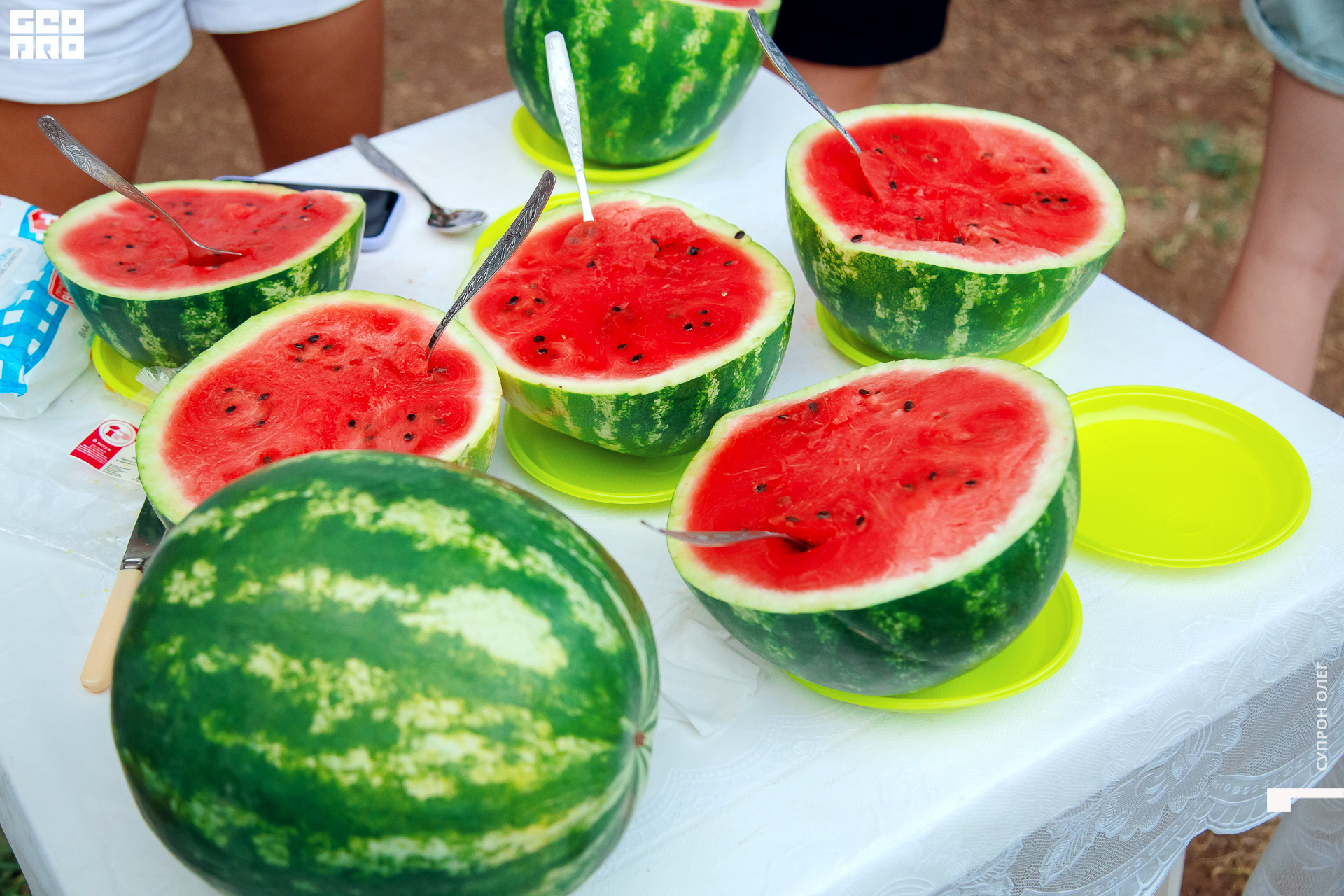 IMG_0993 копия.jpg