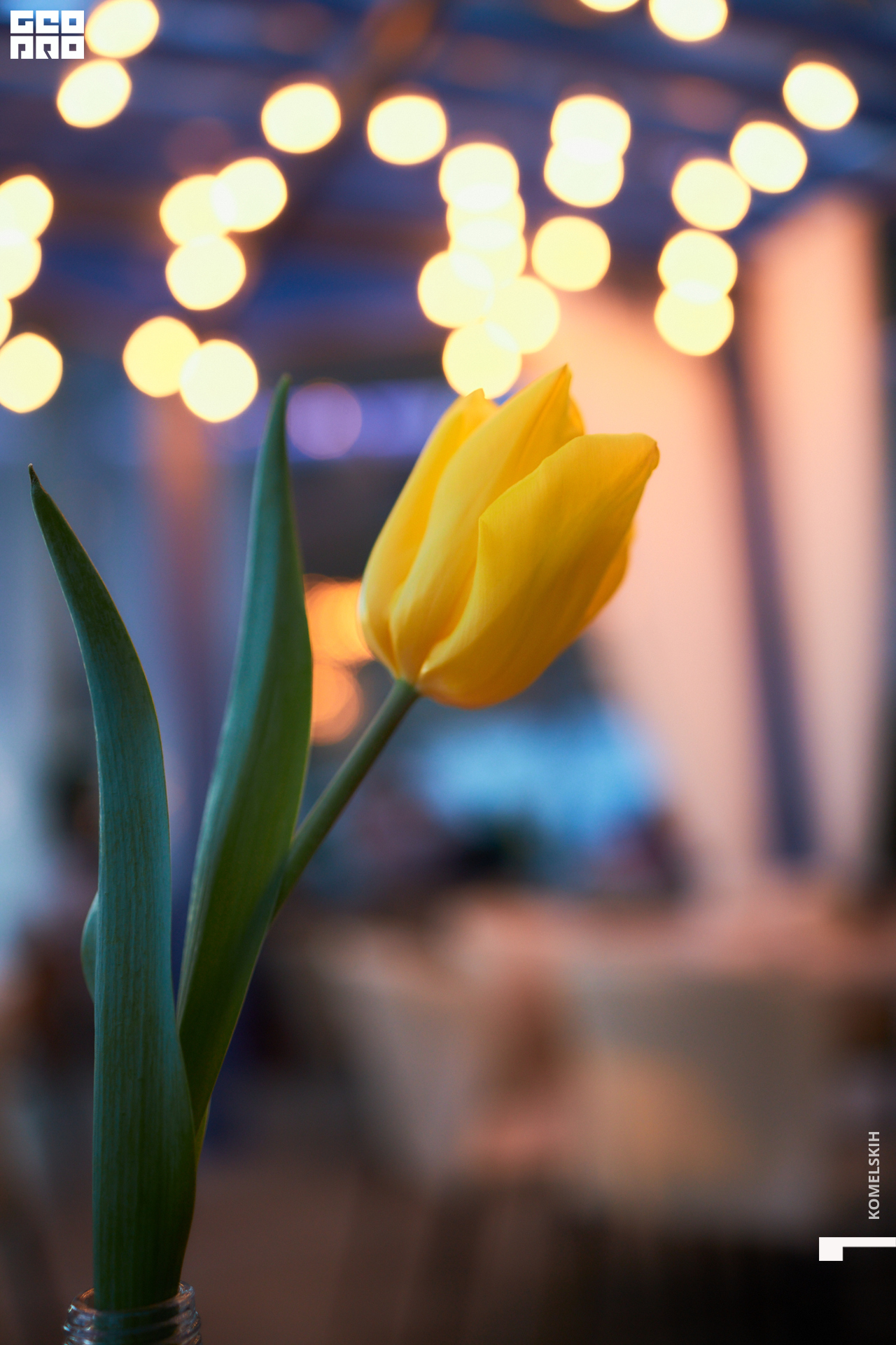 048-08_03_2022-18-04-26 - Komelskih.jpg