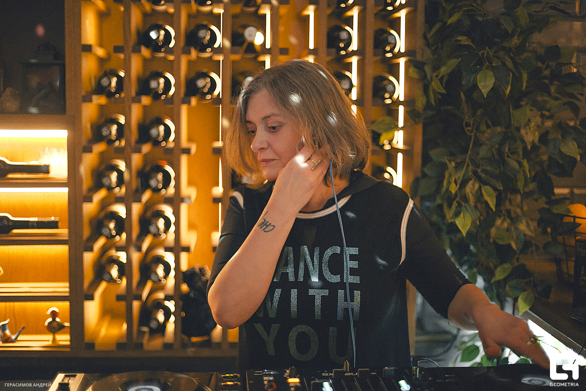 054 Свиристели 17. 02.jpg