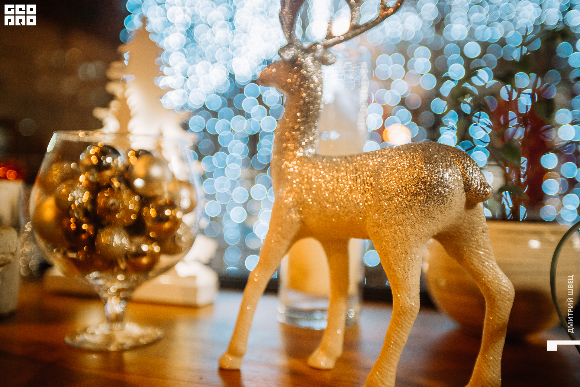 2021-12-03 21-19-09_Швец.jpg