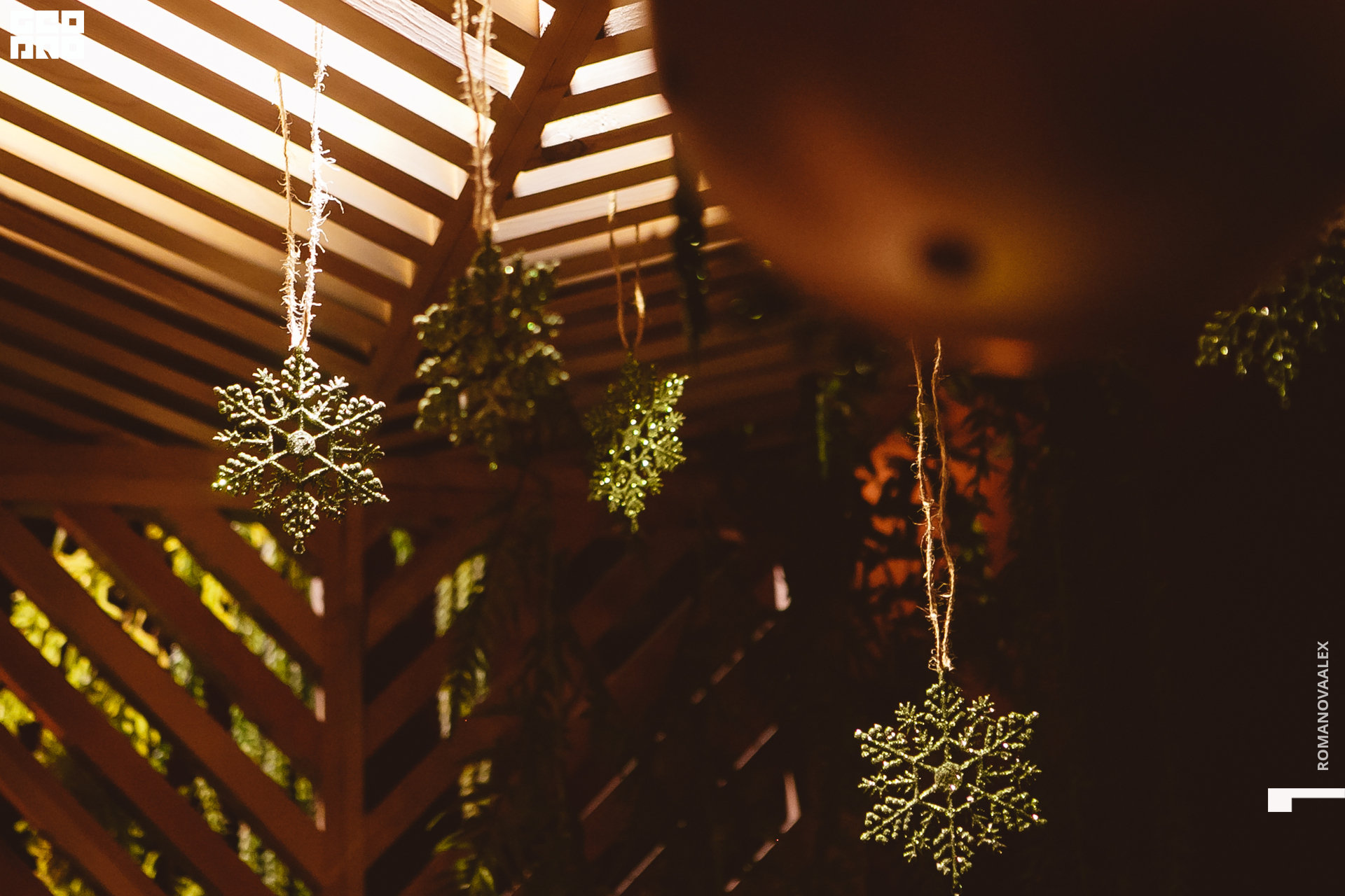 083  ale_romanova.jpg