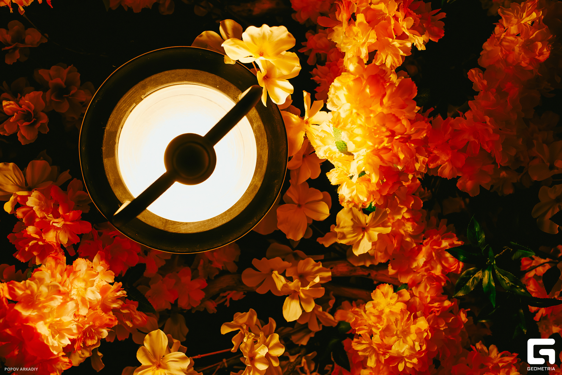 Top (137 из 142).jpg