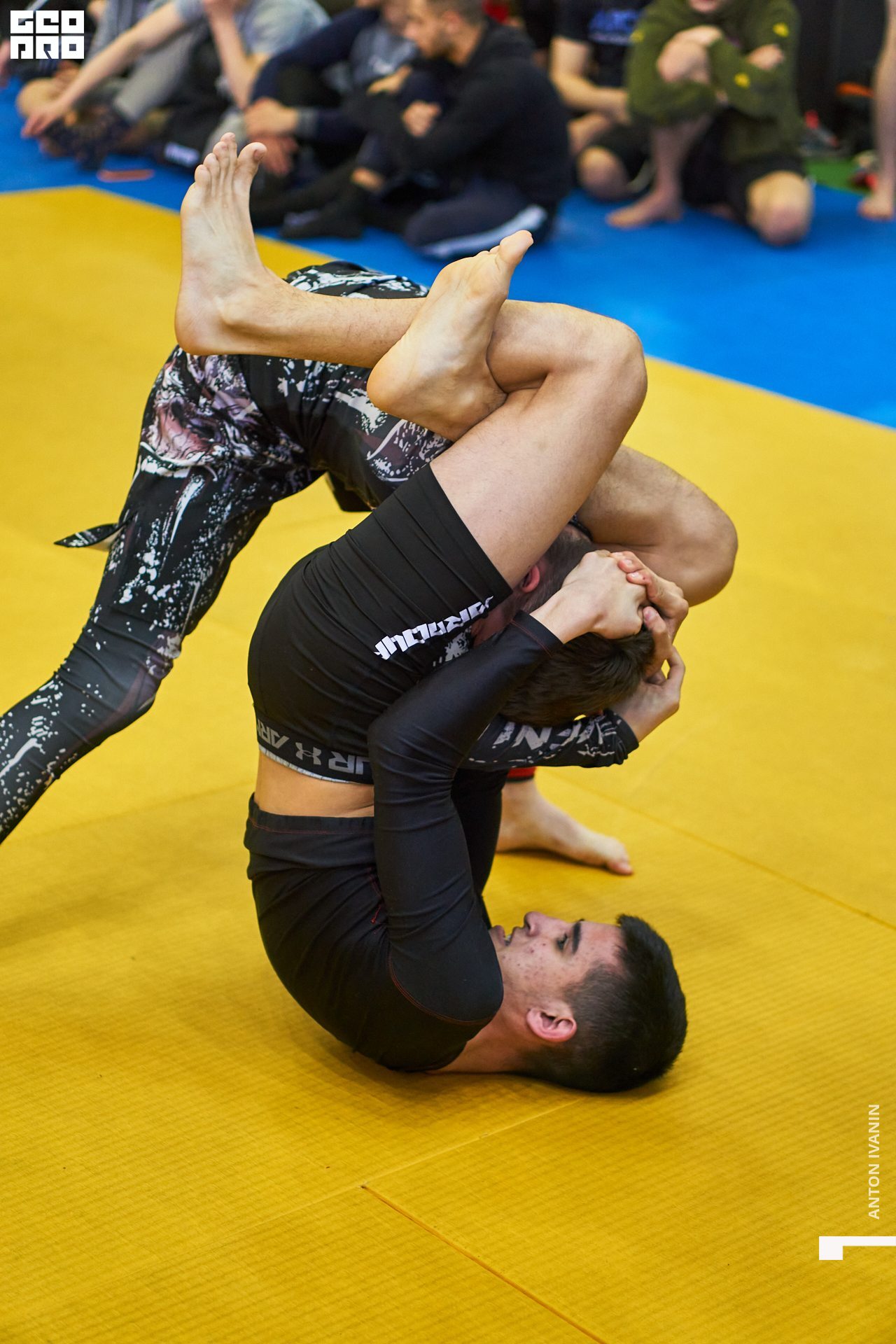 DSC08947 (Копировать).jpg