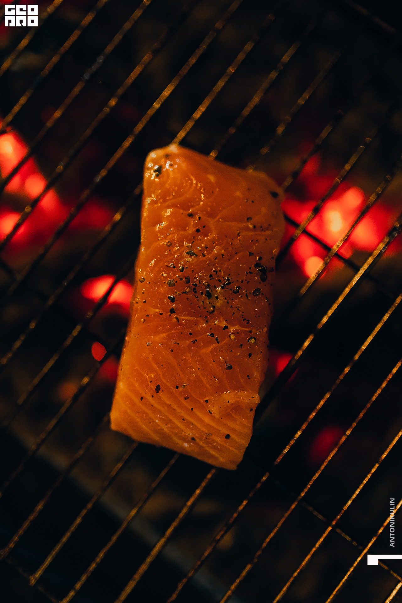 untitled shoot-9583.jpg