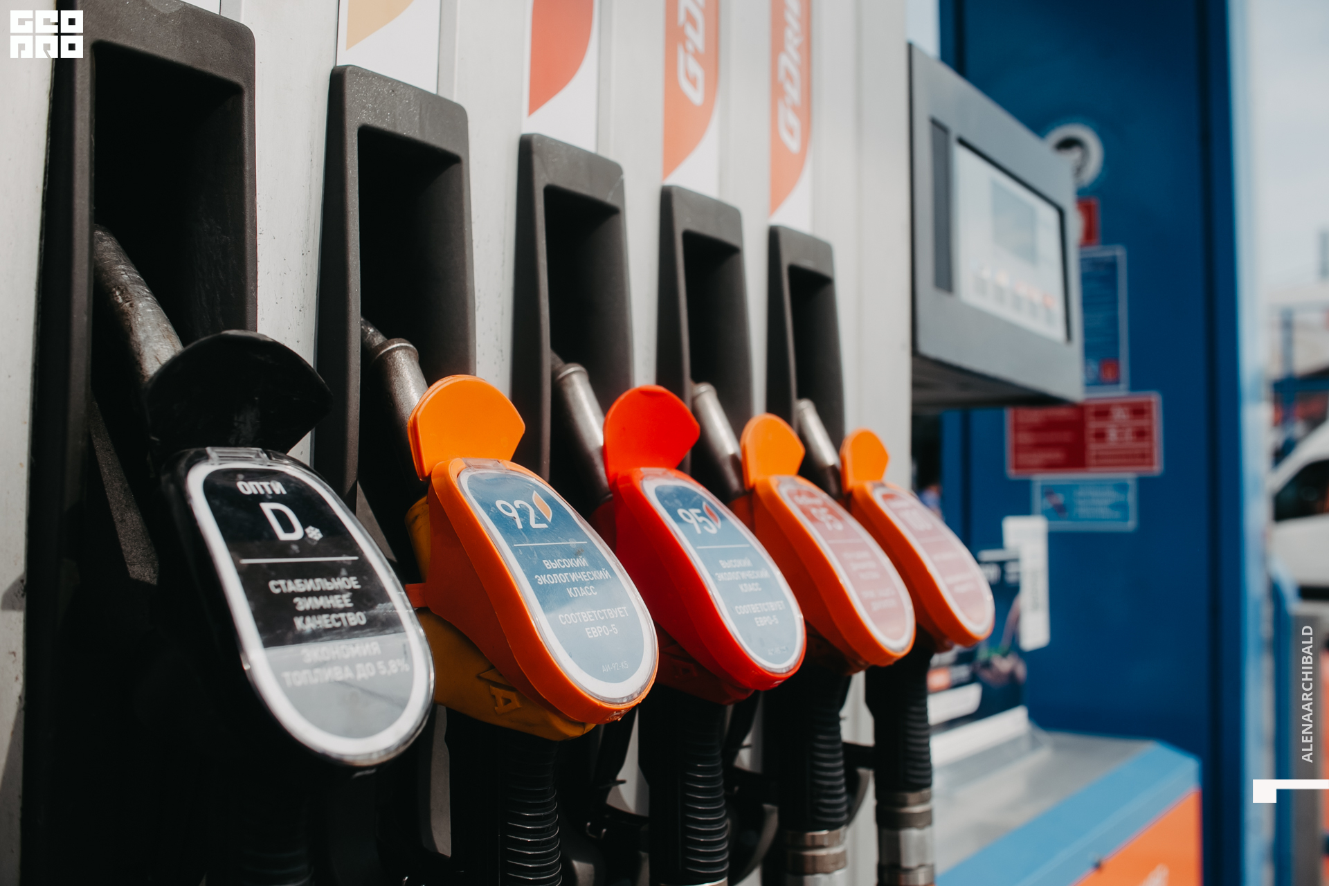 2021-06-26 15-38-06_alenaarchibald.JPG