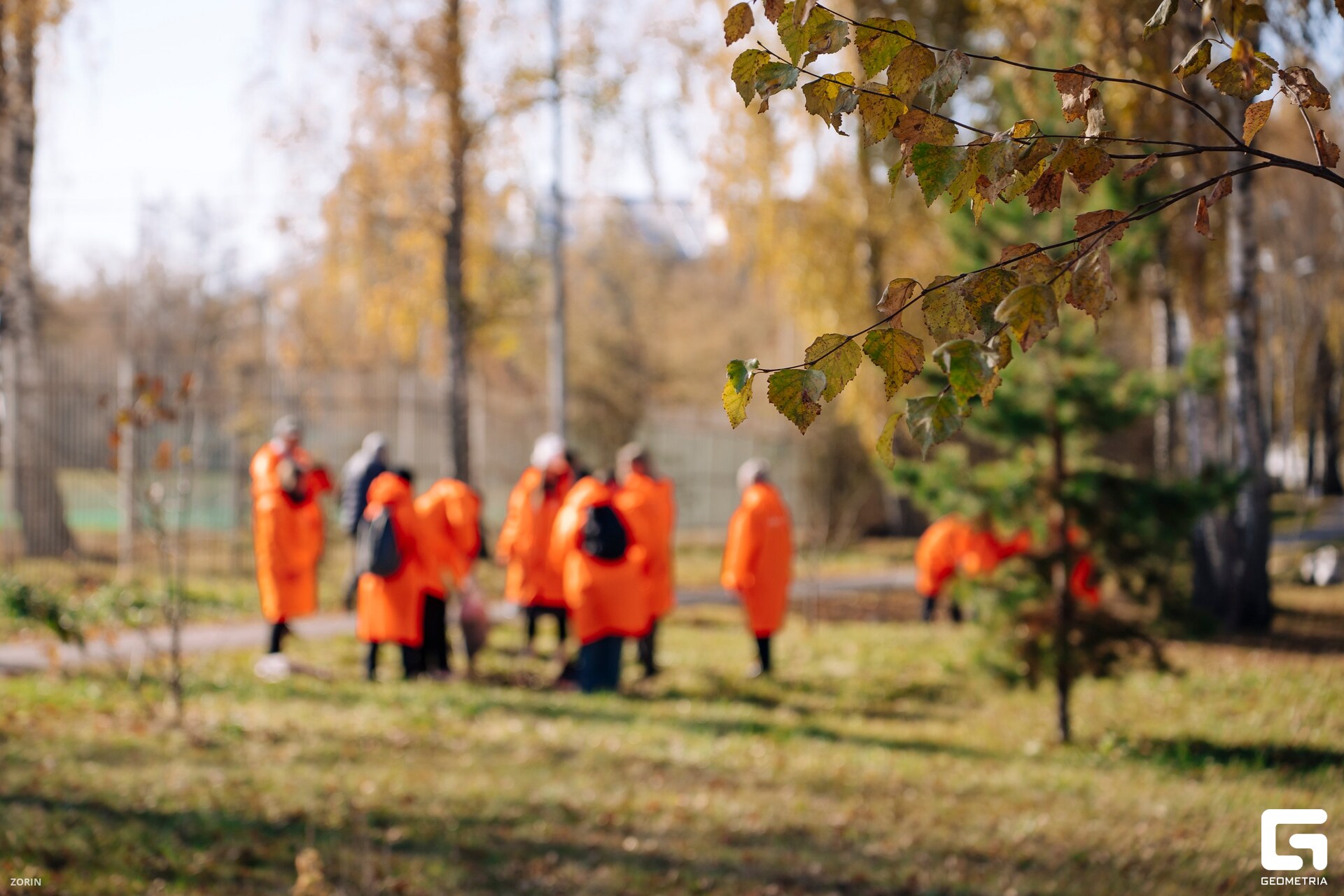 069_11-28-51 _07-10-25_Zorin_resized.jpg