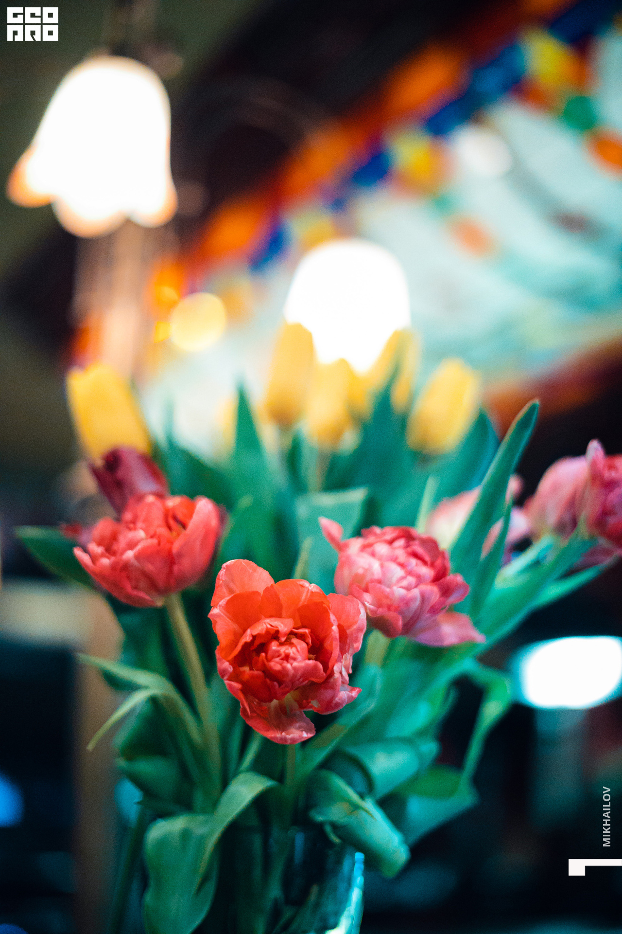 005-08-03-2021-20-06-Джеймс - Михайлов - 2560.jpg