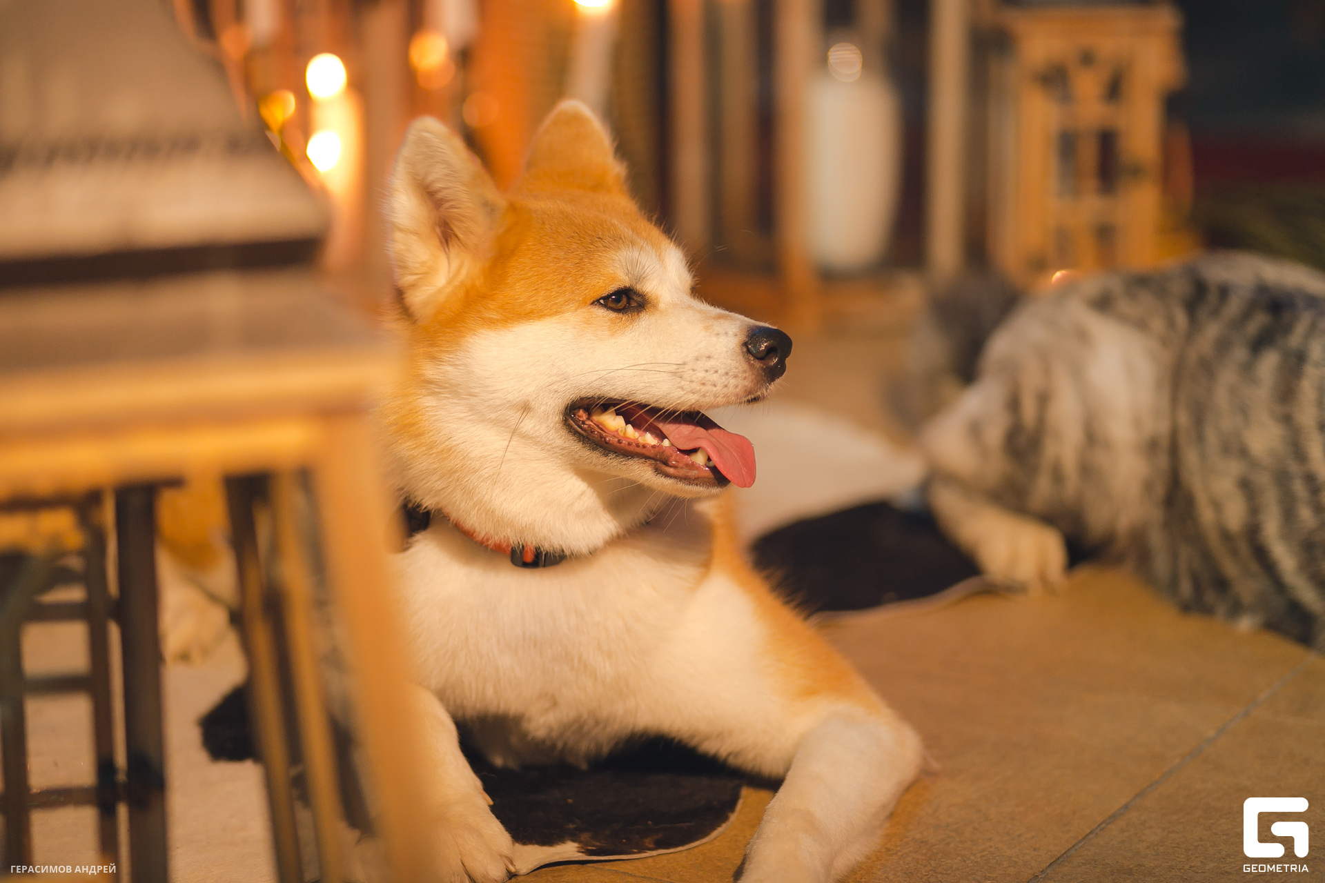 006 Four4side 16.08.jpg