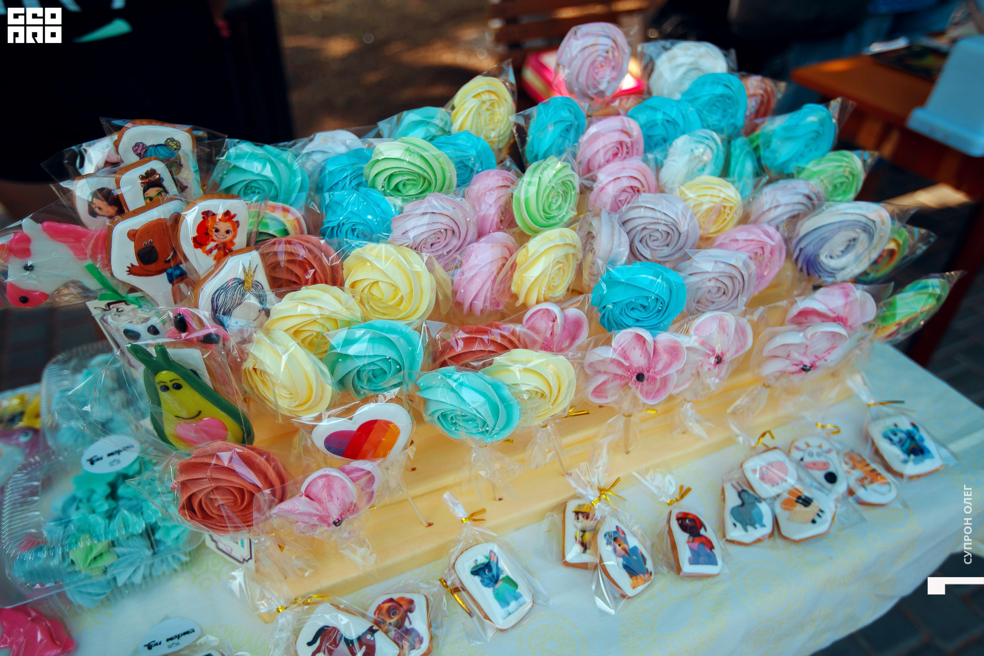 IMG_0042 копия.jpg