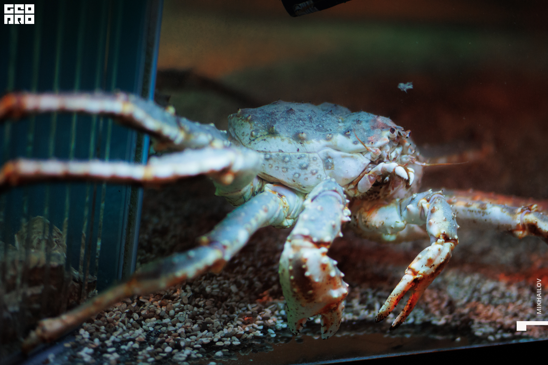 079-20221229рыбалов - Mikhailov - 2560.jpg