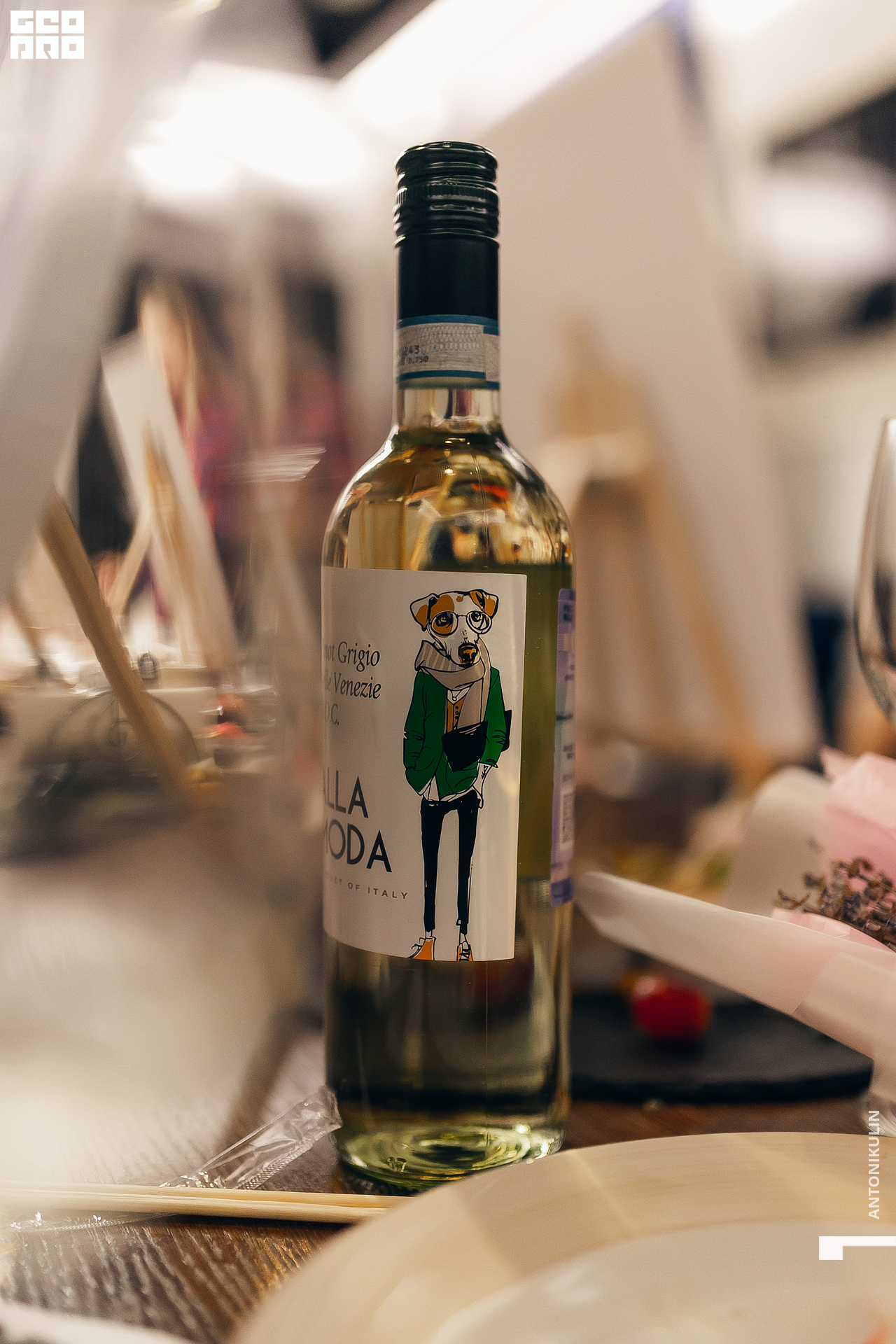 untitled shoot-6939.jpg